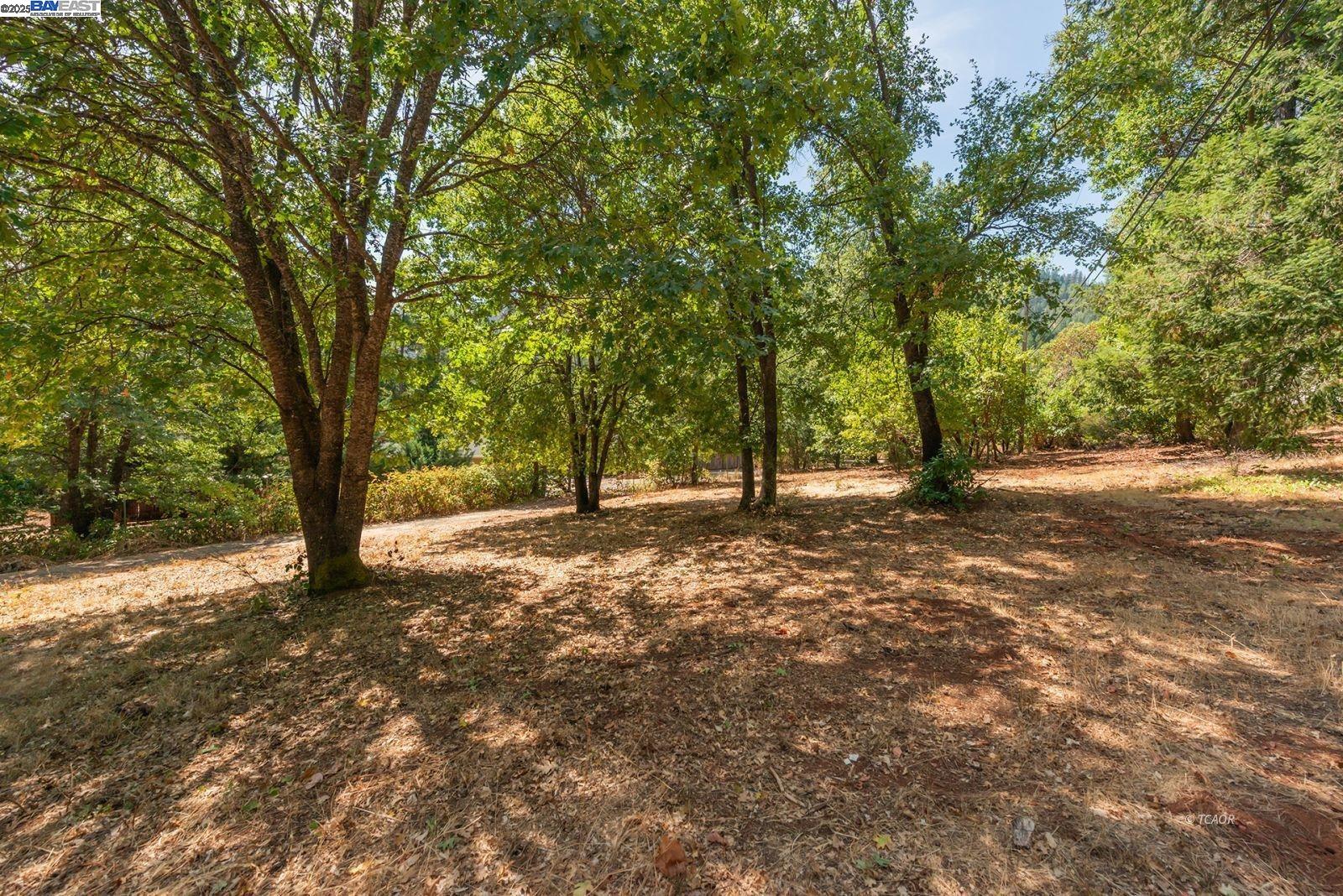 Detail Gallery Image 2 of 26 For 171 Connor Creek Rd, –,  CA 96048 - – Beds | – Baths