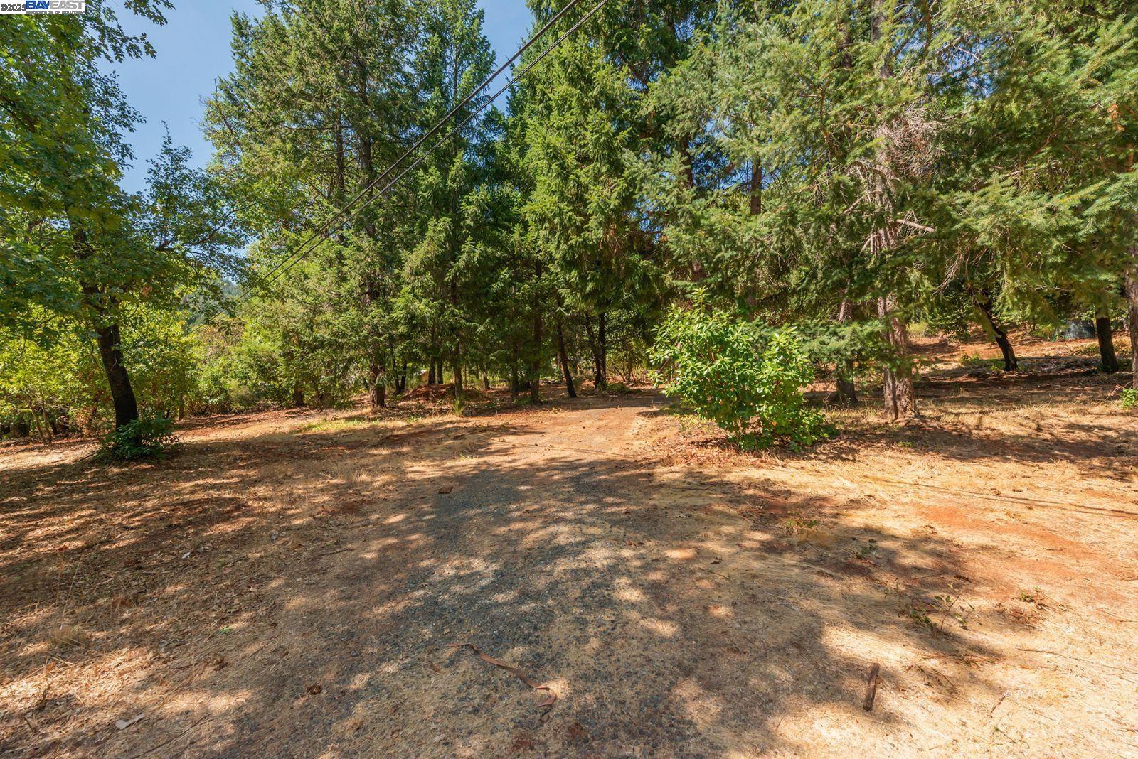 Detail Gallery Image 8 of 26 For 171 Connor Creek Rd, –,  CA 96048 - – Beds | – Baths