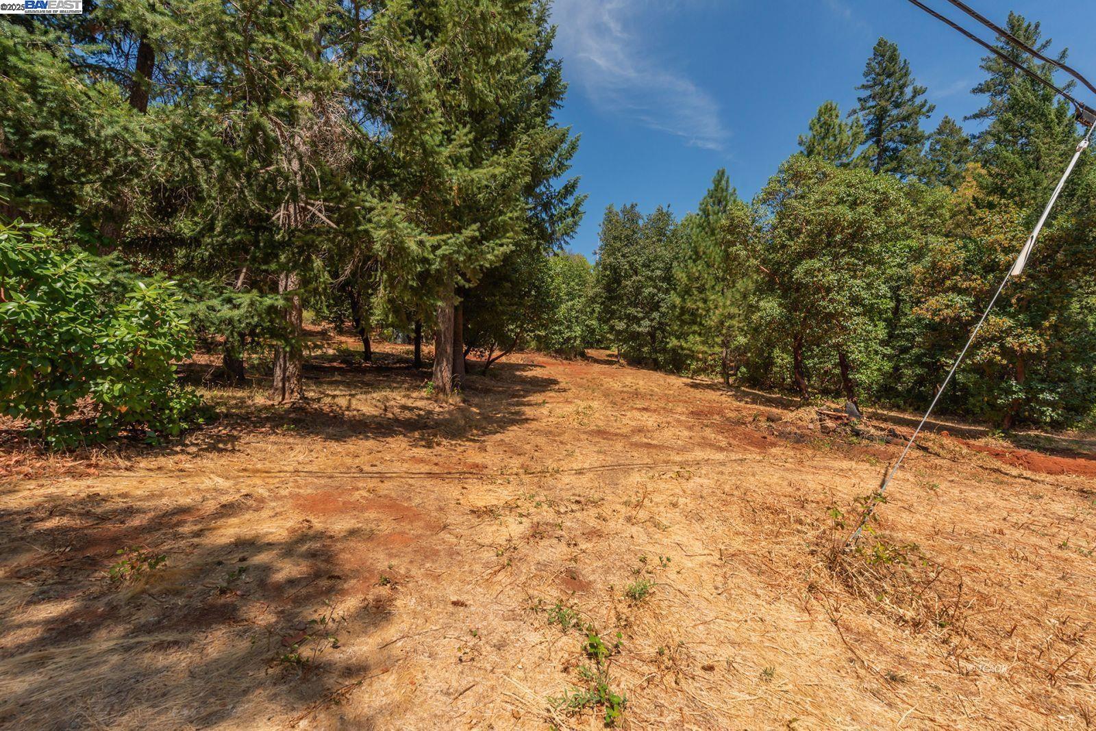 Detail Gallery Image 9 of 26 For 171 Connor Creek Rd, –,  CA 96048 - – Beds | – Baths
