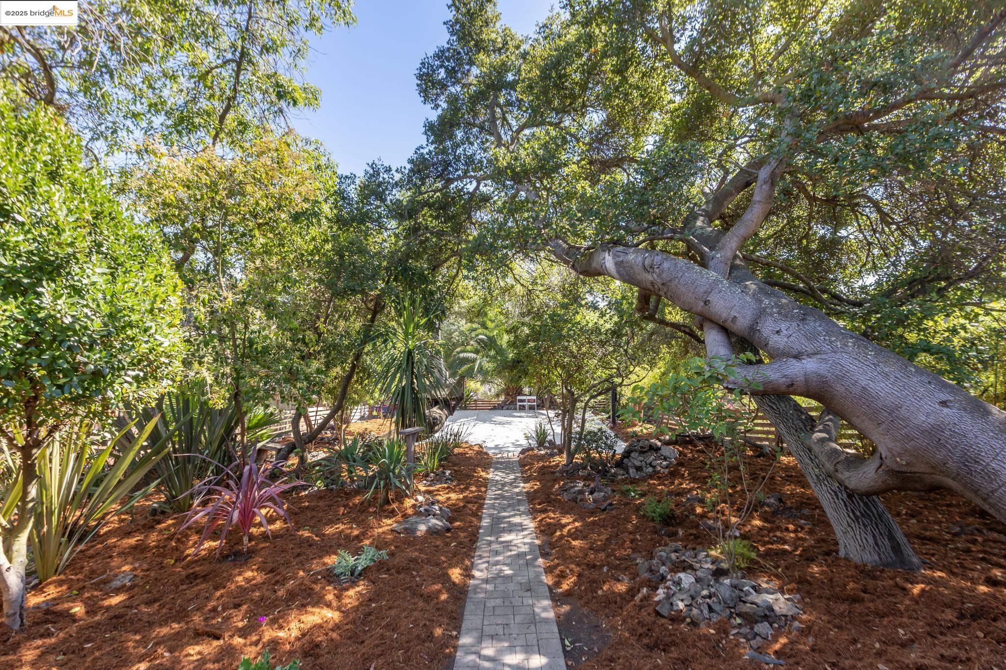 Detail Gallery Image 53 of 60 For 857 Sea View Dr., El Cerrito,  CA 94530 - 3 Beds | 2 Baths