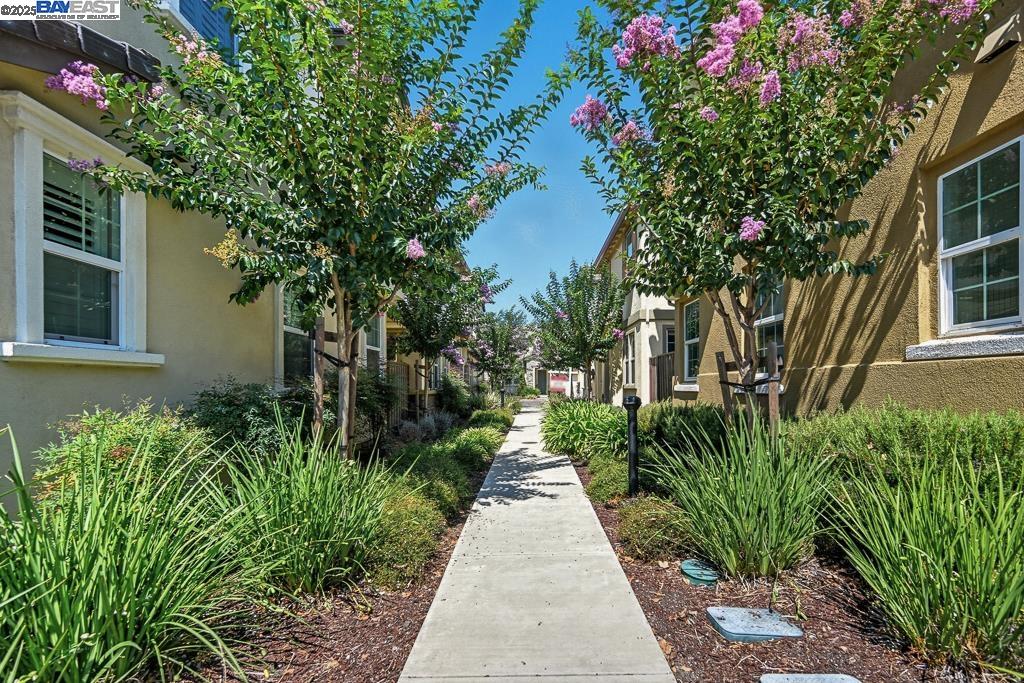 Detail Gallery Image 21 of 21 For 1505 Sylvia St, Hayward,  CA 94545 - 3 Beds | 2/1 Baths