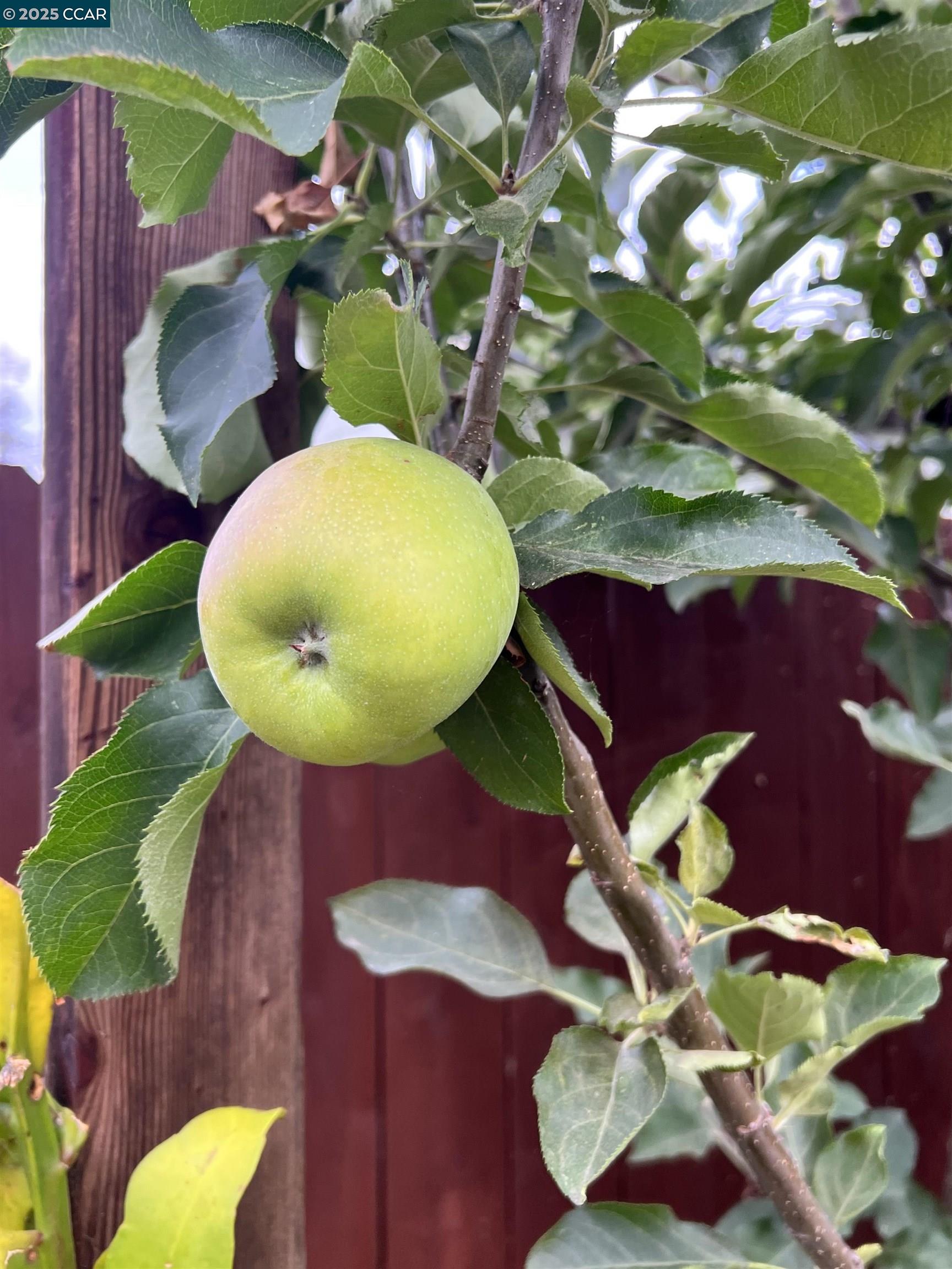 Detail Gallery Image 44 of 48 For 475 Nabor St, San Leandro,  CA 94578 - 2 Beds | 1 Baths