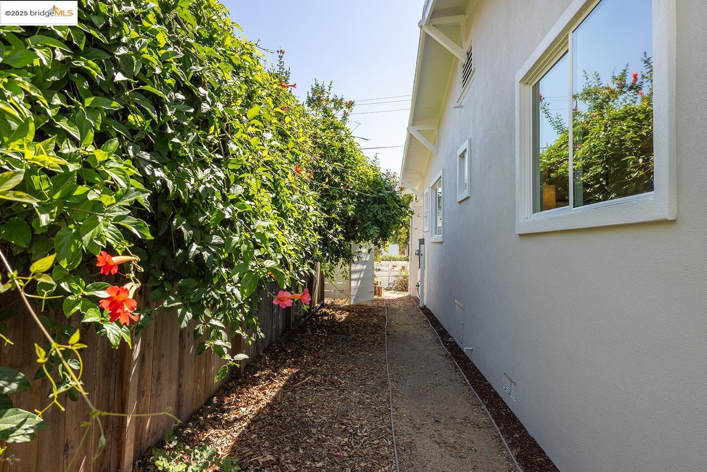 Detail Gallery Image 38 of 51 For 931 Channing Way, Berkeley,  CA 94710 - 3 Beds | 2 Baths
