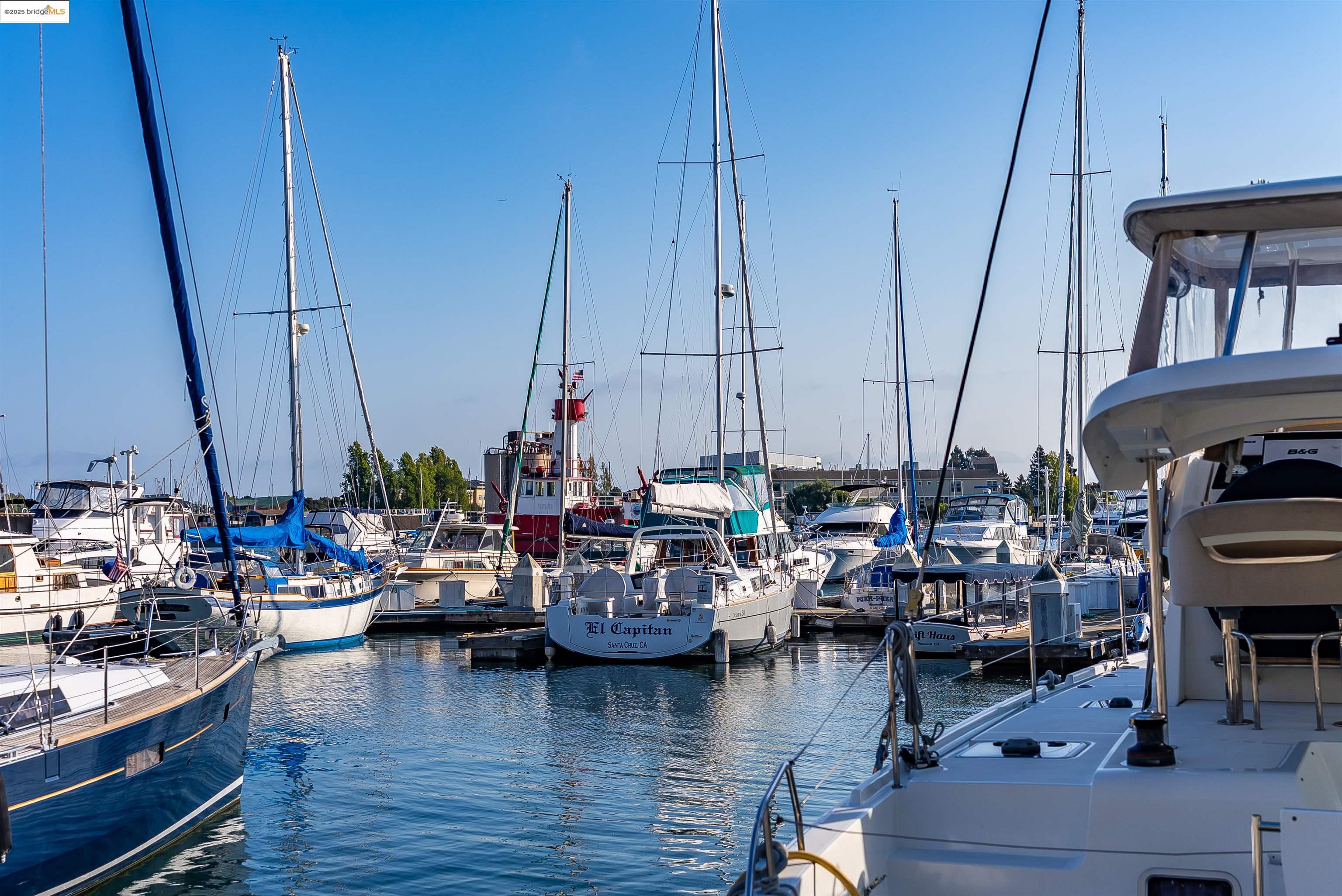 Photo #42: 41111816 Listing: Photo #42