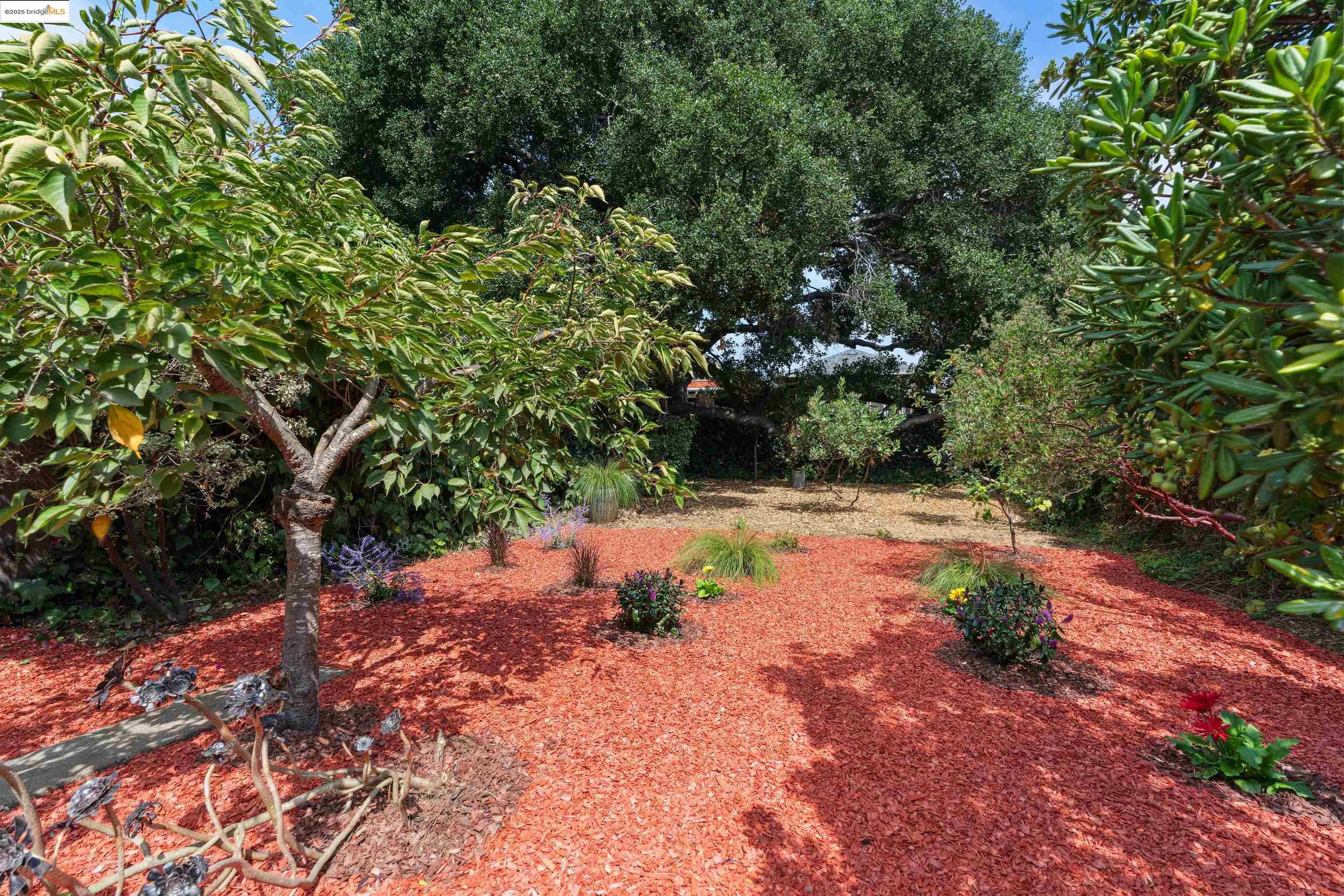 Detail Gallery Image 36 of 39 For 686 41st St, Oakland,  CA 94609 - 2 Beds | 1 Baths