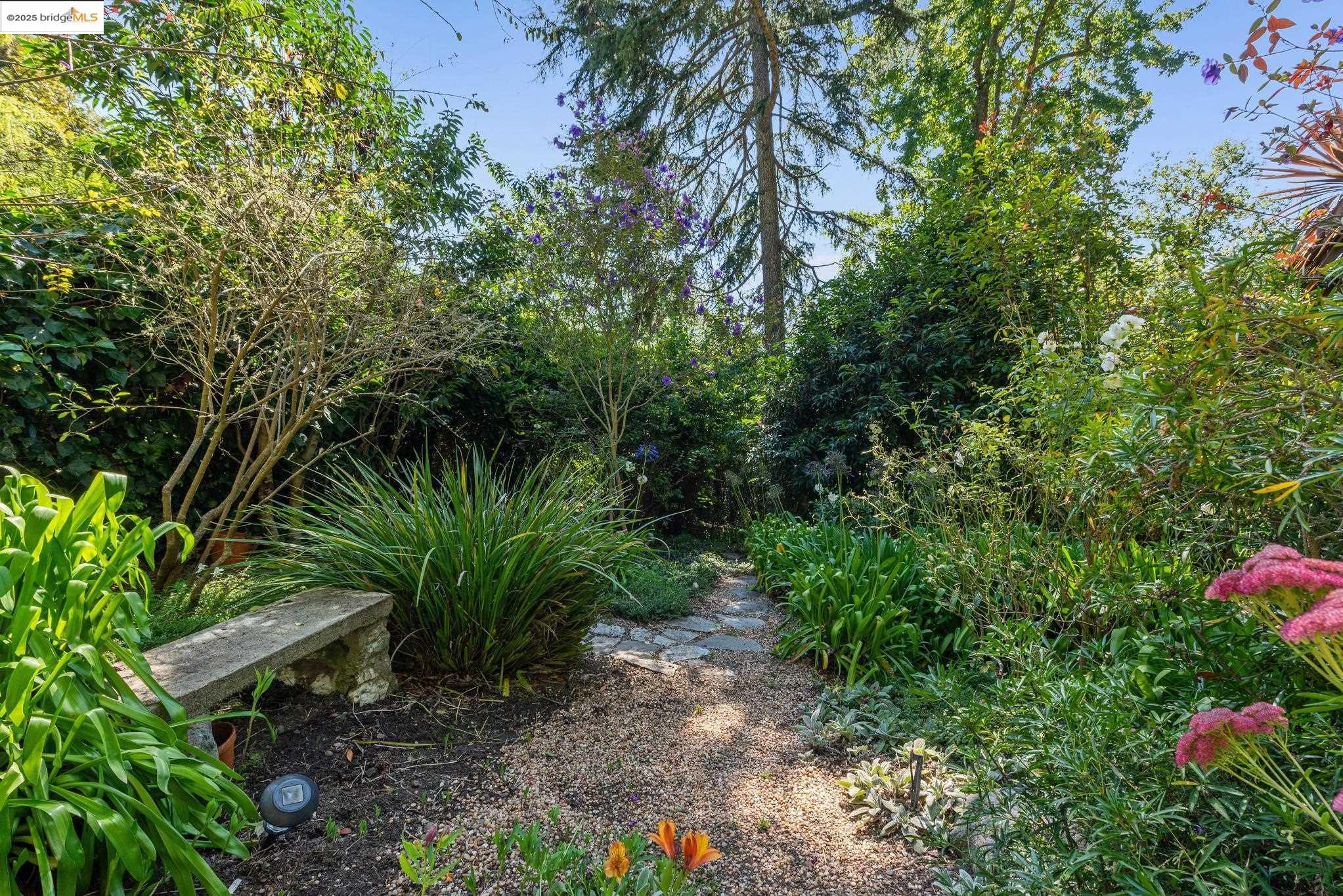 Detail Gallery Image 53 of 60 For 1082 Cragmont Ave, Berkeley,  CA 94708 - 4 Beds | 3 Baths