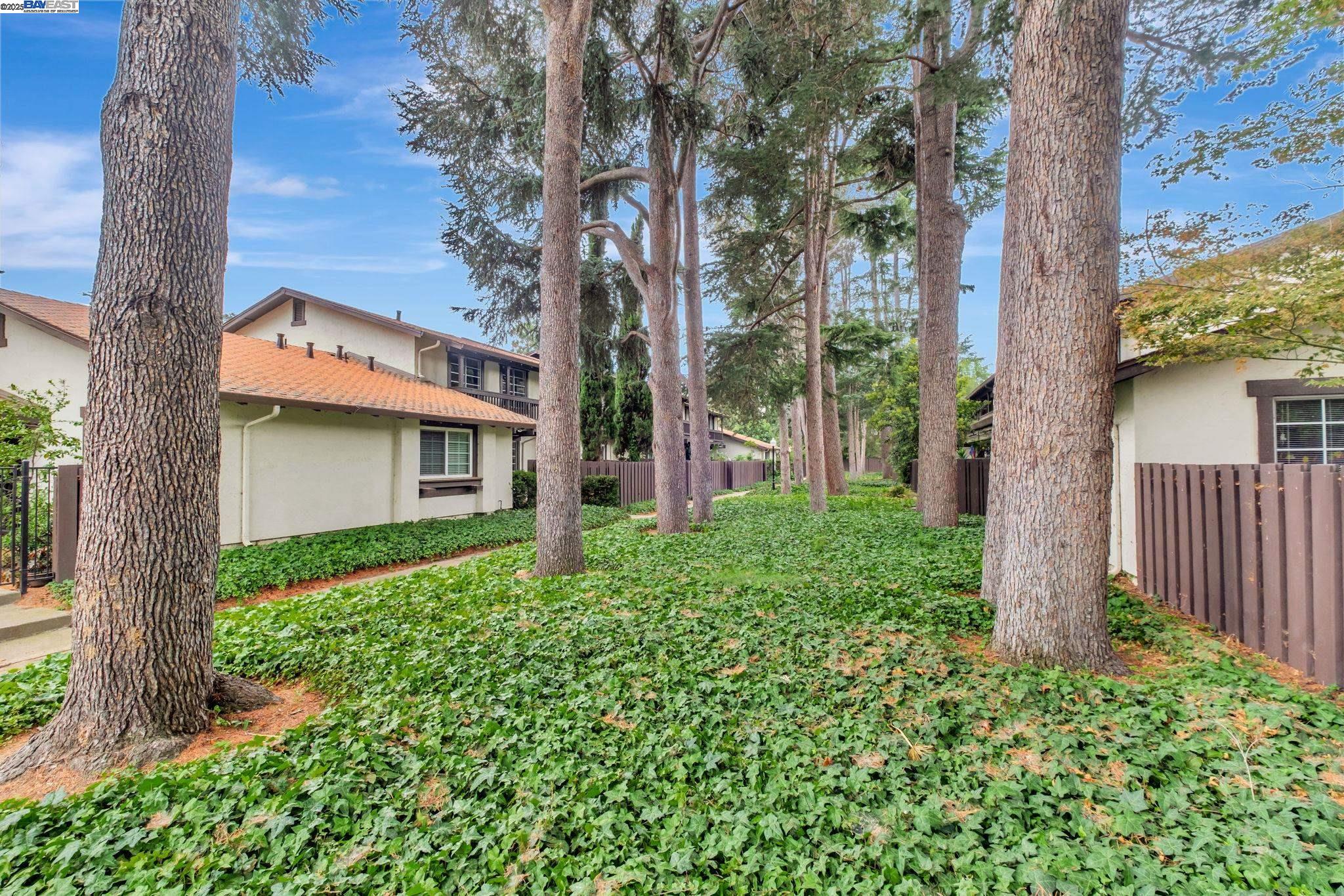 Photo #41: 41111827 Listing: Photo #41