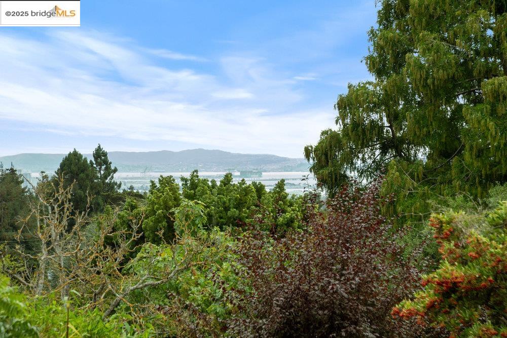 Detail Gallery Image 29 of 60 For 1178 Oxford St, Berkeley,  CA 94707 - 4 Beds | 4 Baths