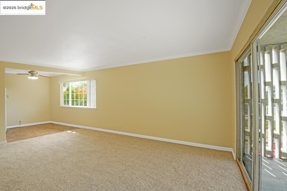 Detail Gallery Image 12 of 43 For 7940 Bancroft Avenue, Oakland,  CA 94605 - – Beds | – Baths