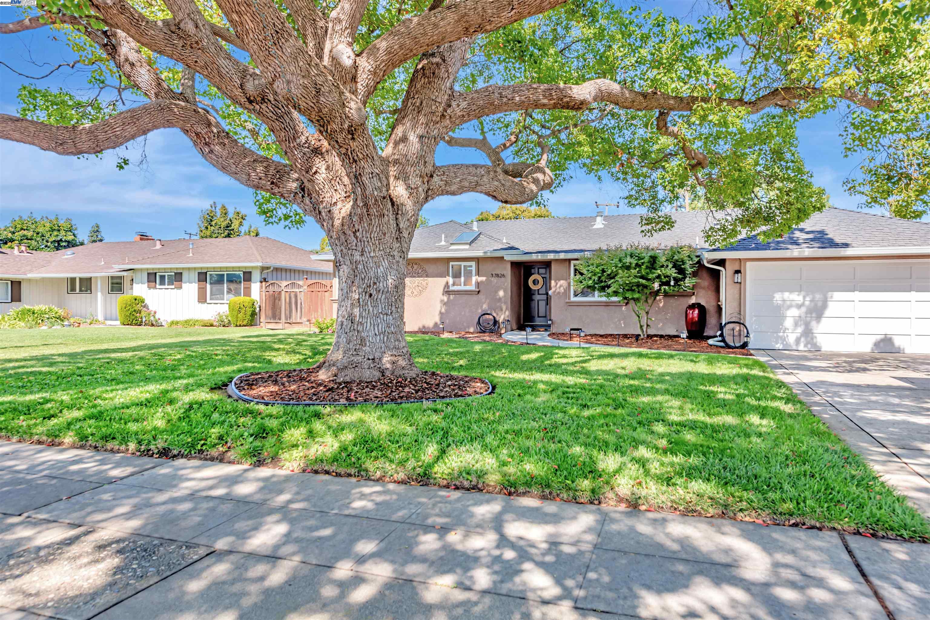 Detail Gallery Image 50 of 51 For 37826 Glenmoor Dr, Fremont,  CA 94536 - 4 Beds | 2 Baths