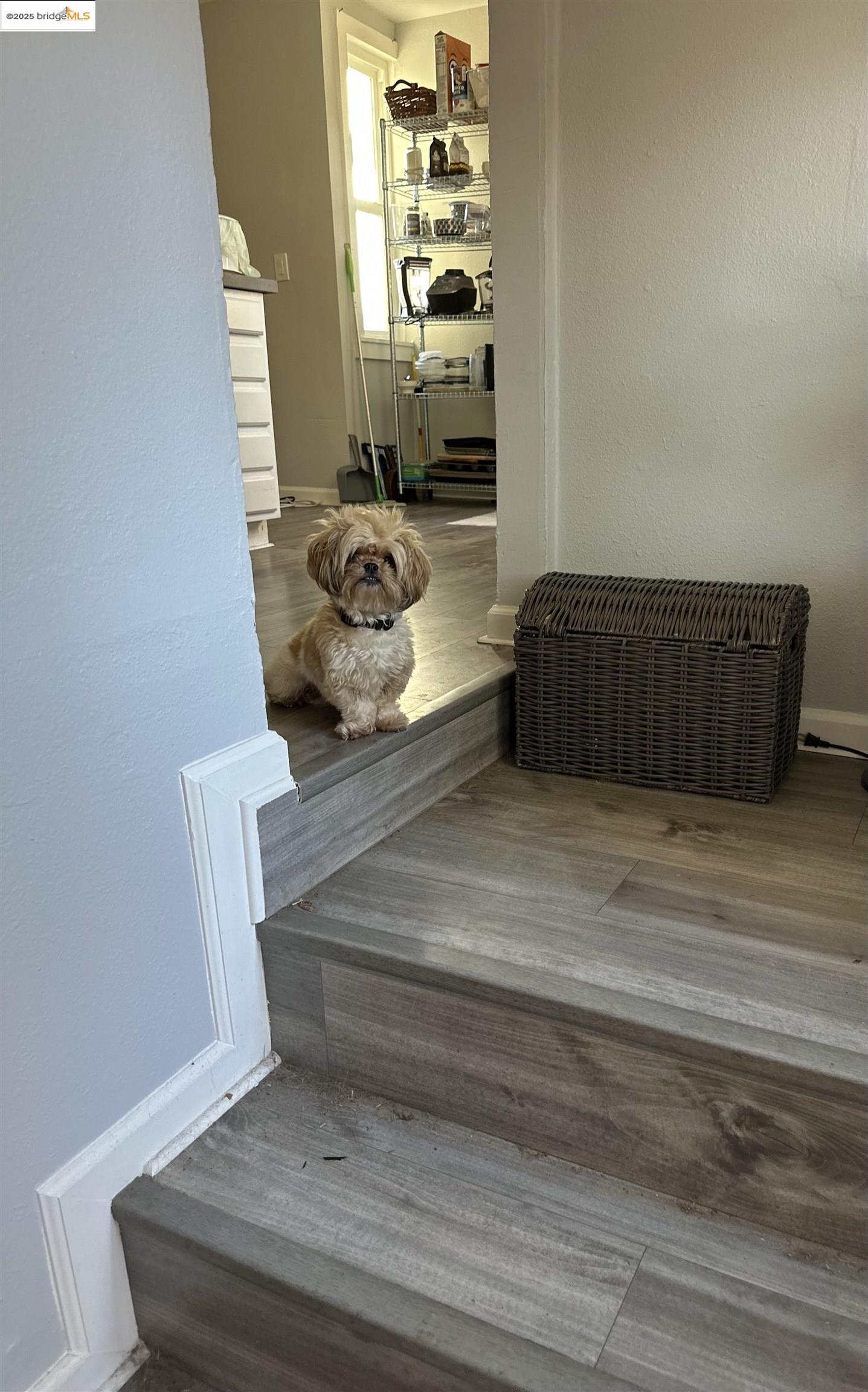 Detail Gallery Image 9 of 20 For 2816 Viola St, Oakland,  CA 94619 - 1 Beds | 1 Baths