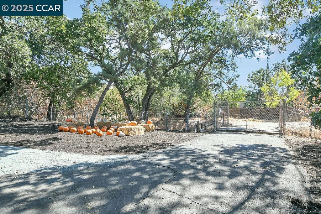 Detail Gallery Image 42 of 45 For 500 Creekside Rd., Pleasant Hill,  CA 94523 - 5 Beds | 3 Baths
