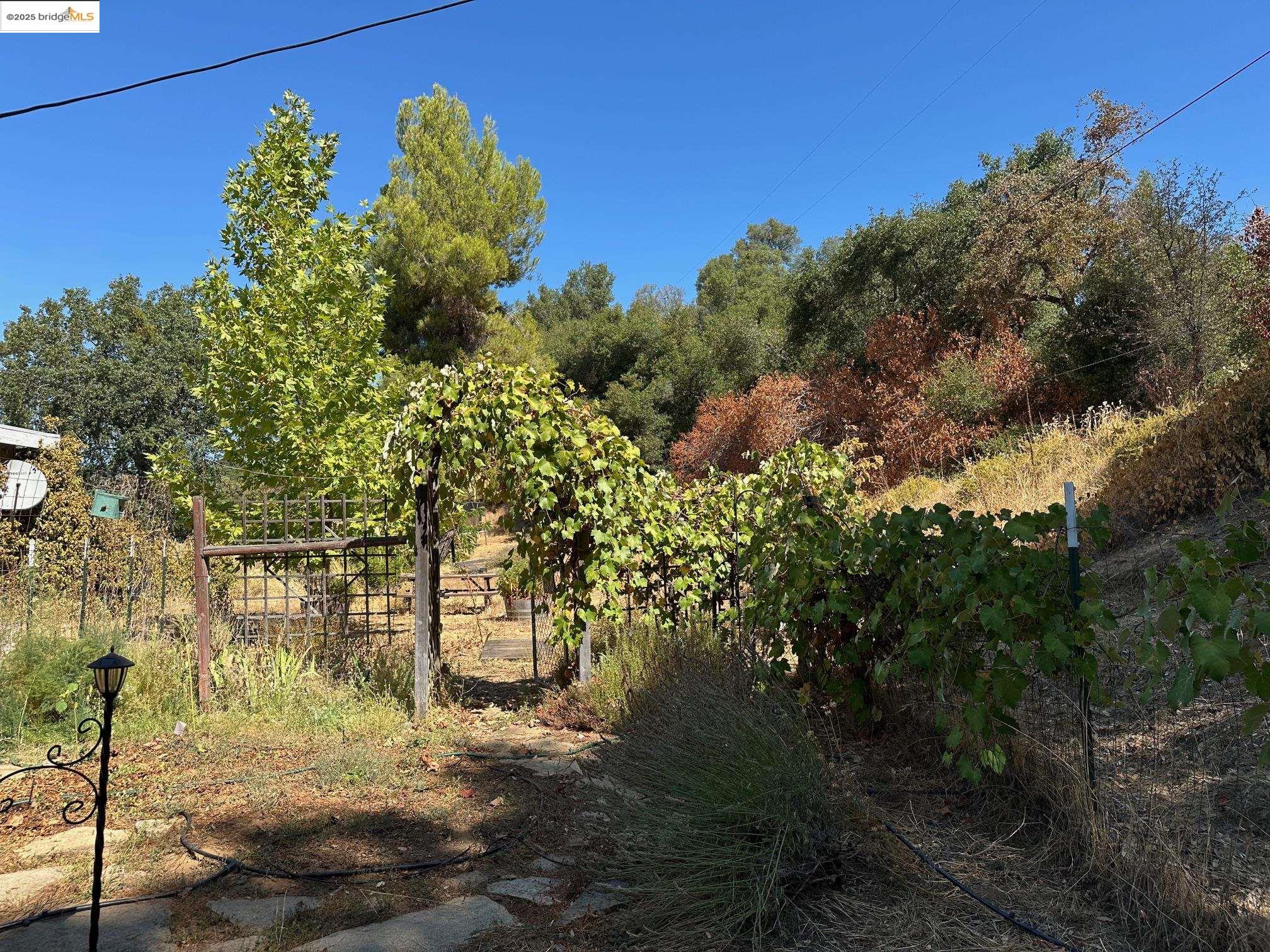 Detail Gallery Image 25 of 39 For 20215 Peaceful Oak Road, Sonora,  CA 95370 - 3 Beds | 2/1 Baths
