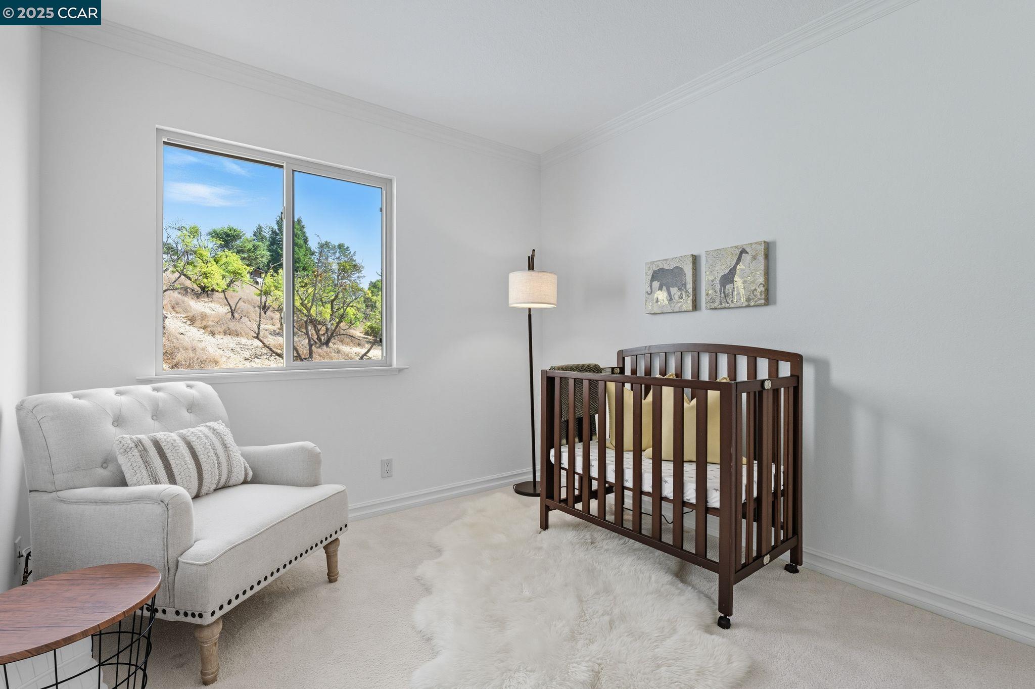 Detail Gallery Image 21 of 32 For 1585 Moraga Way, Moraga,  CA 94556 - 3 Beds | 2/1 Baths