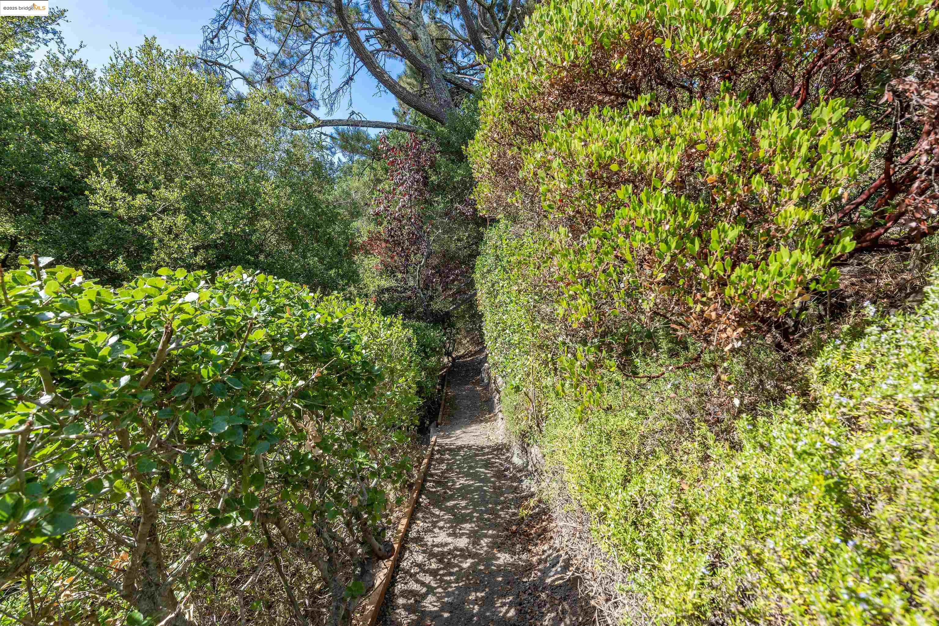 Detail Gallery Image 36 of 37 For 215 Crestmont Dr, Oakland,  CA 94619 - 3 Beds | 2/1 Baths