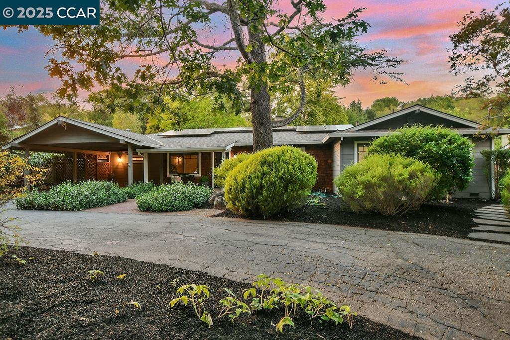 Front Image Thumbnail for CC41111987