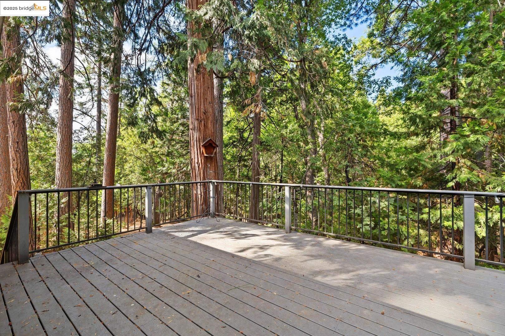 Front Image Thumbnail for EB41112022