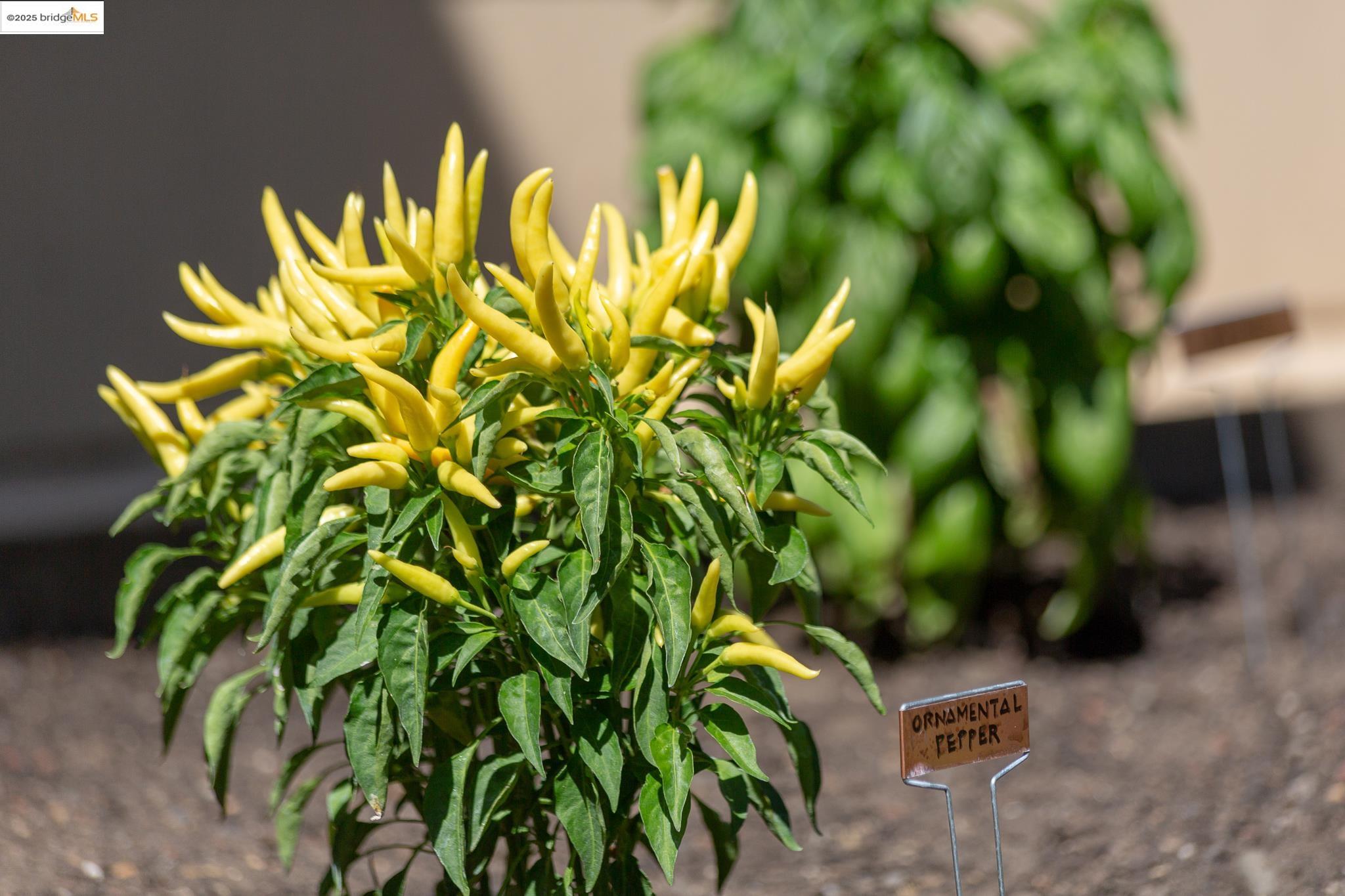 Detail Gallery Image 35 of 45 For 5626 Broadway, Oakland,  CA 94610 - 3 Beds | 1 Baths