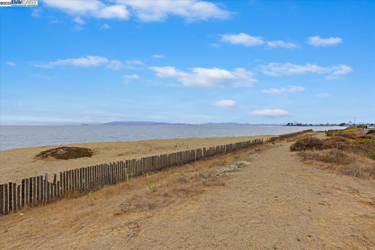 Photo #14: 41112085 Listing: Photo #14