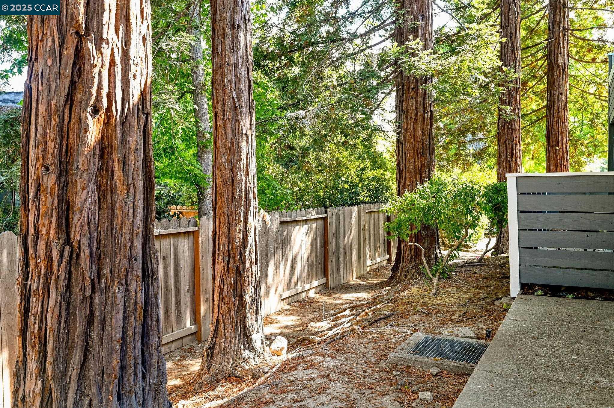 Photo #3: 41112112 Listing 