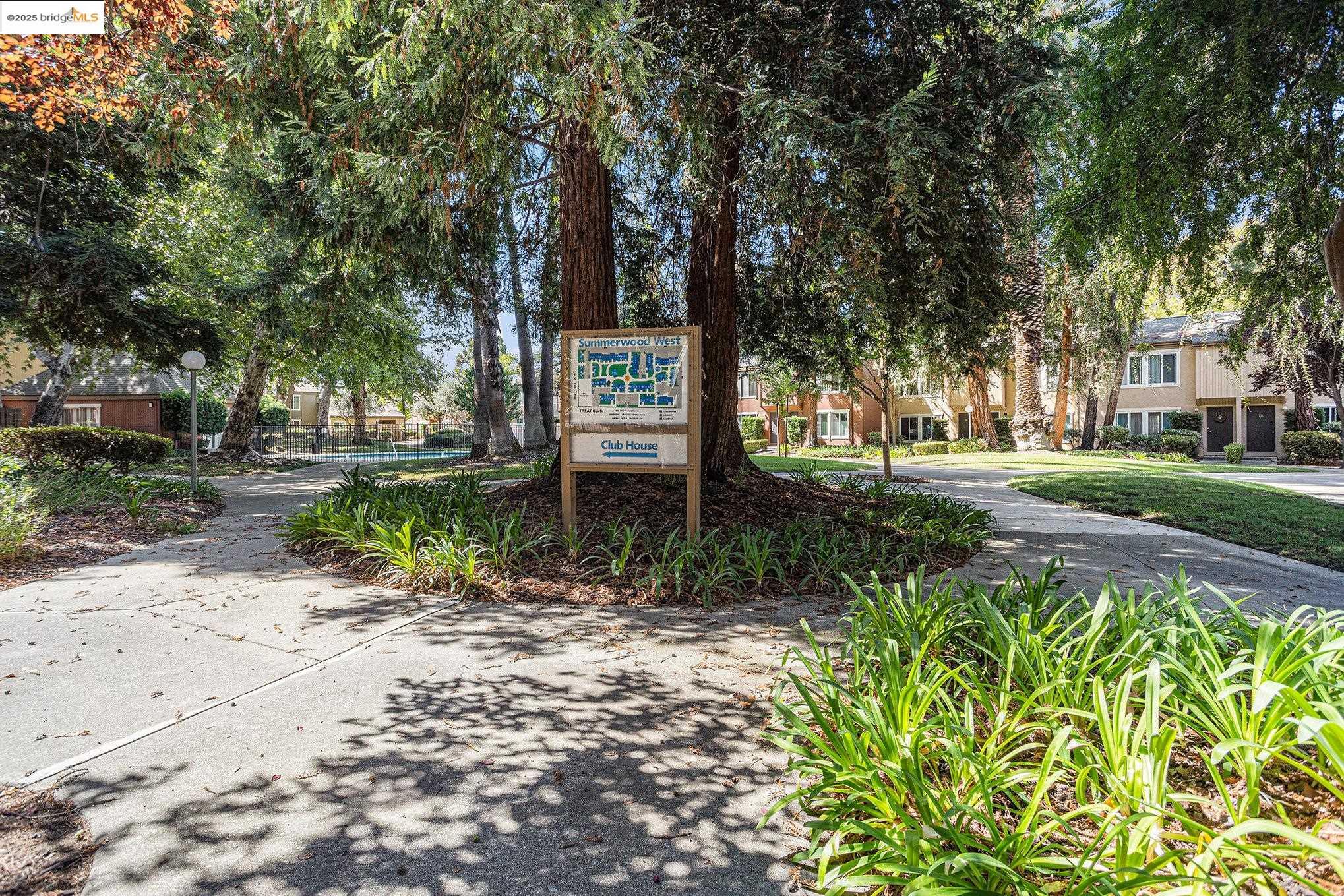 Photo #20: 41112147 Listing: Photo #20