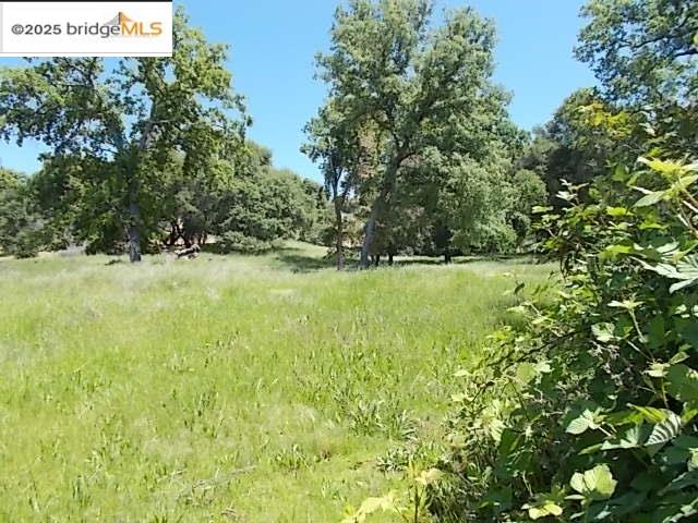 Detail Gallery Image 17 of 39 For 18215 18215 Aarondale Rd, Sonora,  CA 95370-9743 - 3 Beds | 2 Baths