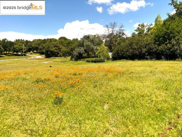 Detail Gallery Image 19 of 39 For 18215 18215 Aarondale Rd, Sonora,  CA 95370-9743 - 3 Beds | 2 Baths