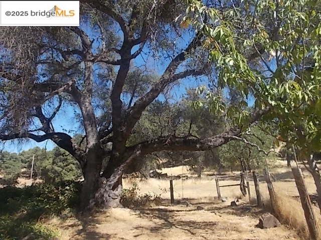 Detail Gallery Image 8 of 39 For 18215 18215 Aarondale Rd, Sonora,  CA 95370-9743 - 3 Beds | 2 Baths