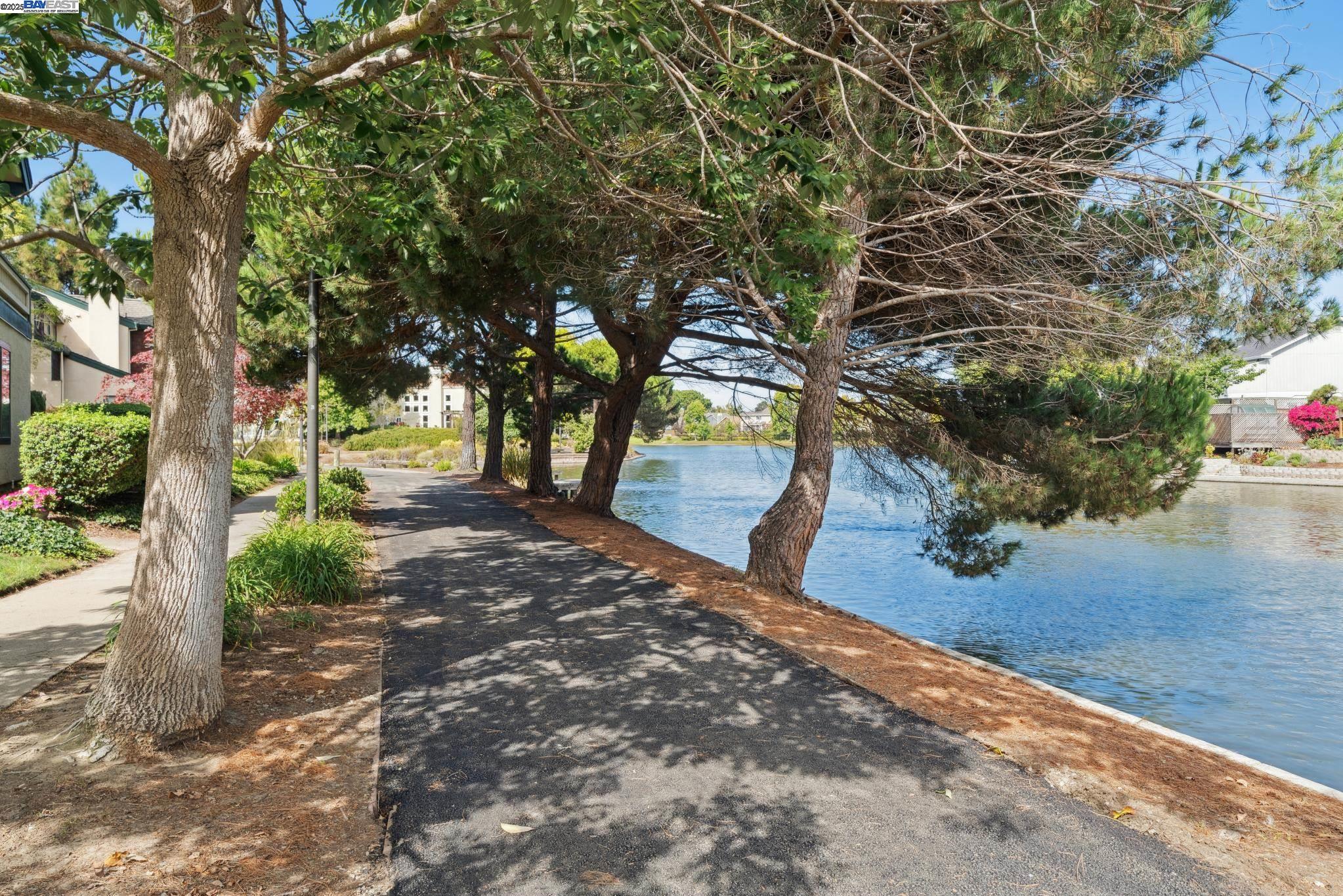 Photo #37: 41112242 Listing: Photo #37