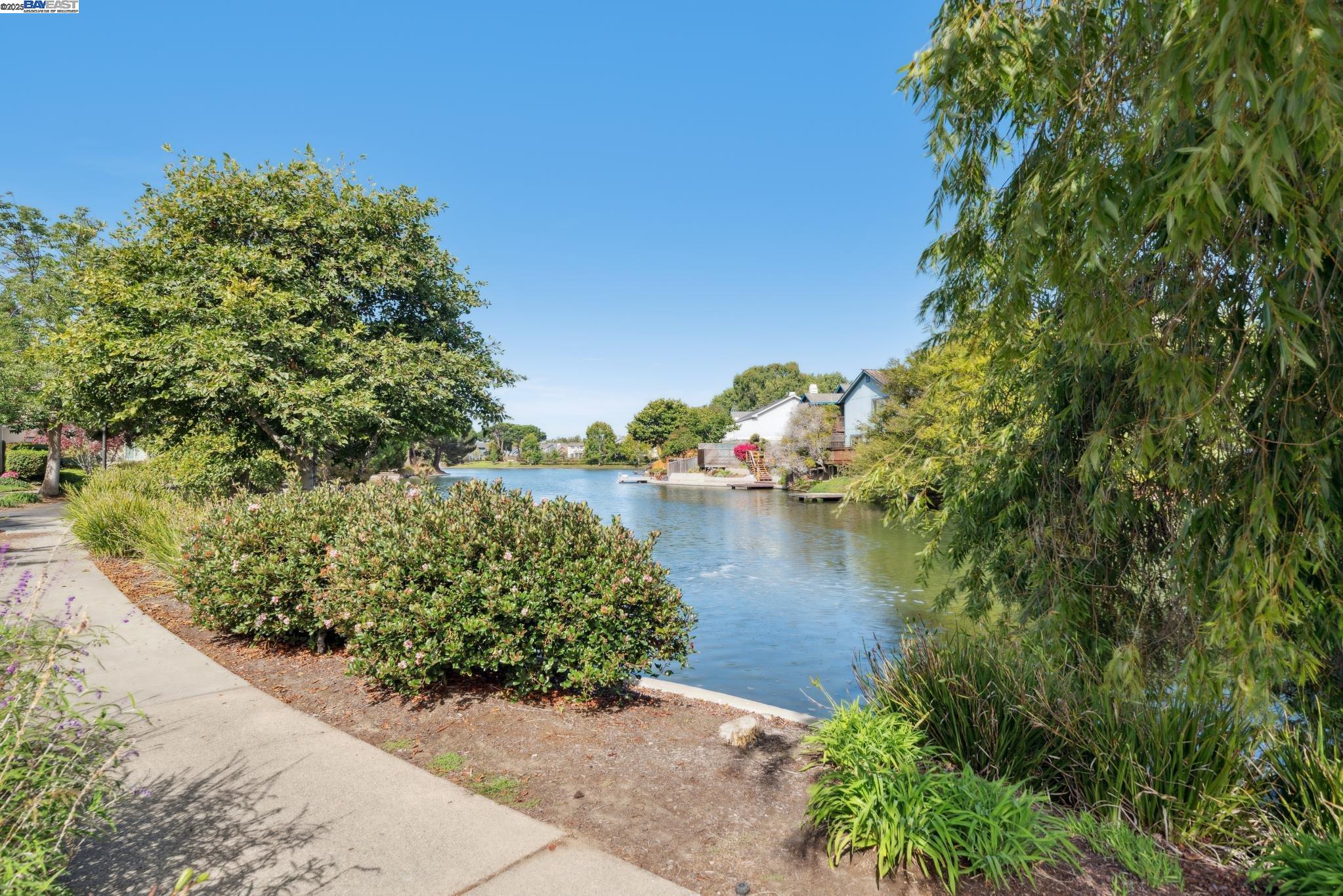 Photo #38: 41112242 Listing: Photo #38