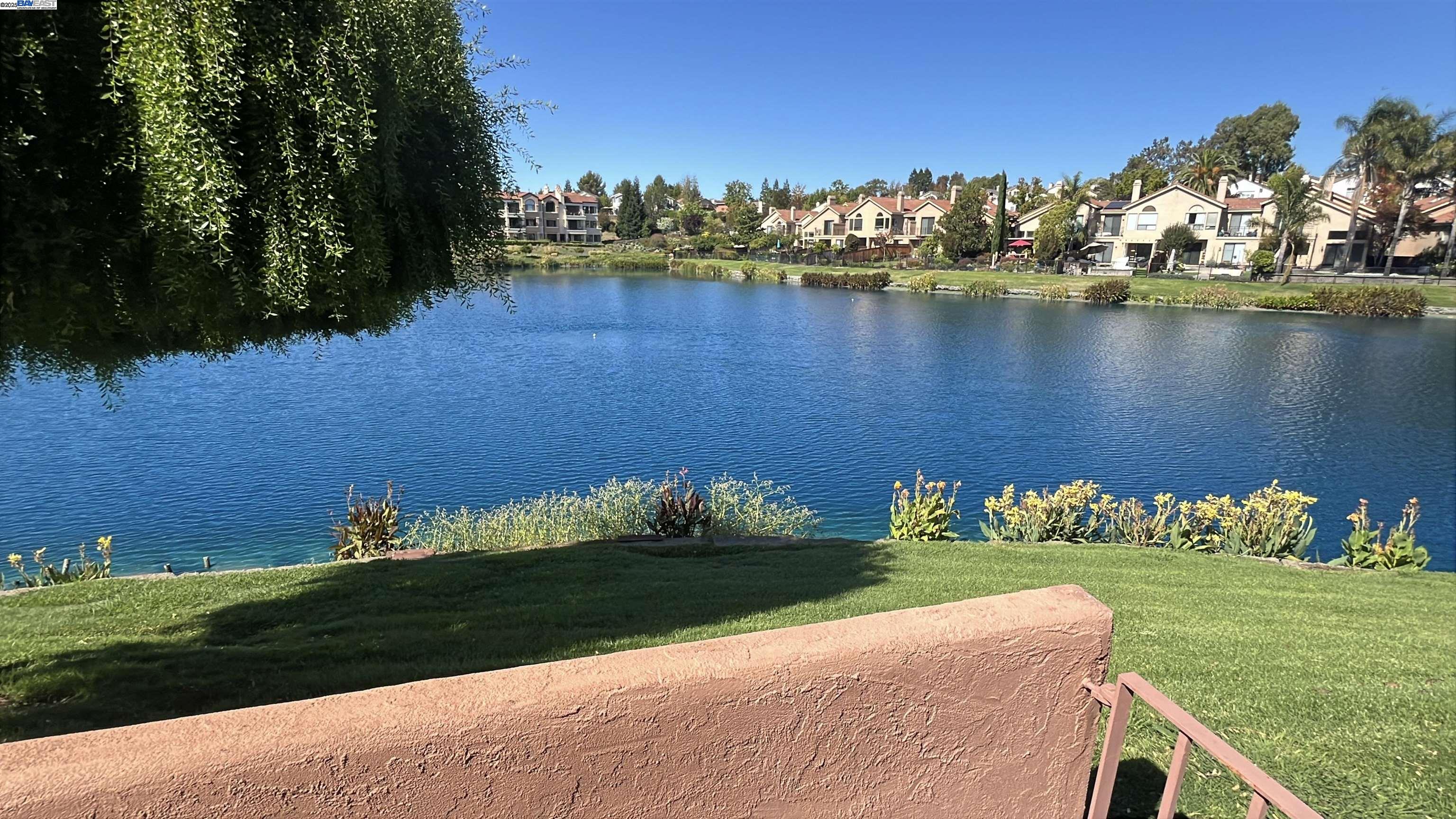 Photo #22: 41112252 Listing: Photo #22