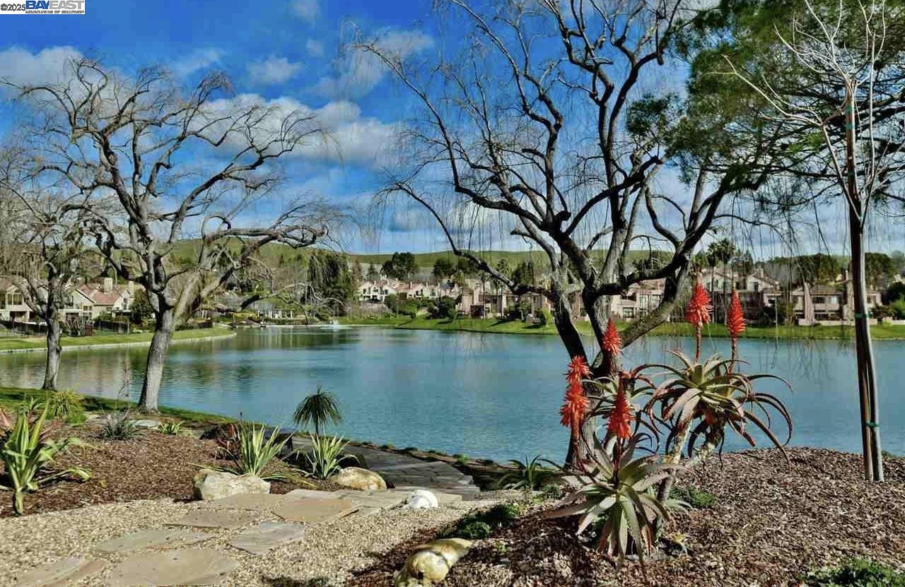 Photo #5: 41112252 Listing 