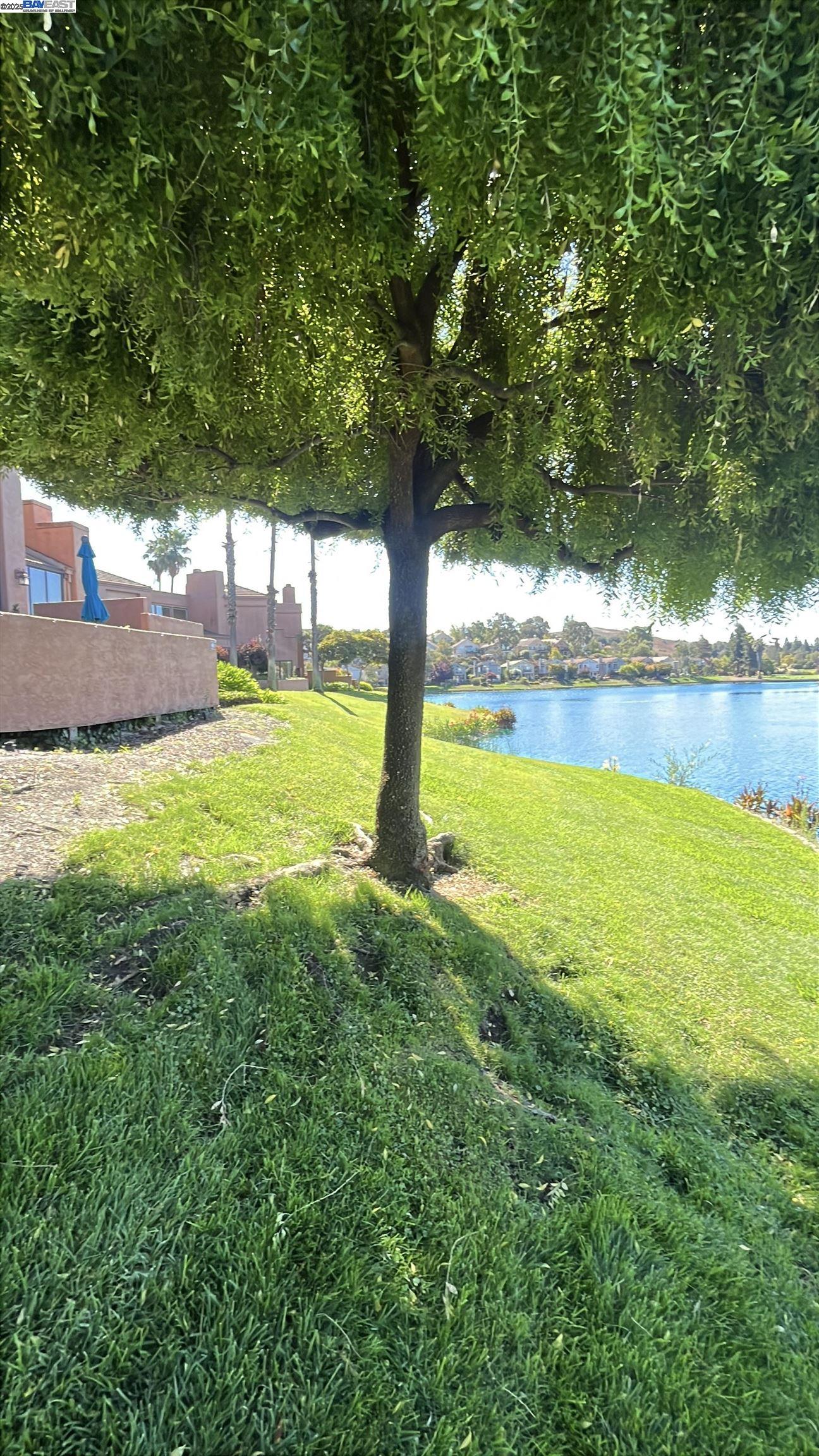 Photo #48: 41112252 Listing: Photo #48