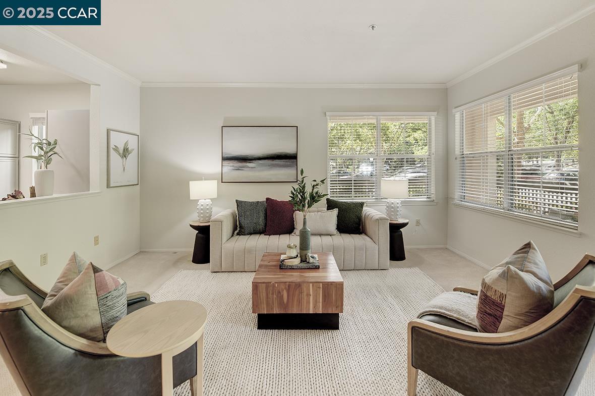 Front Image Thumbnail for CC41112335