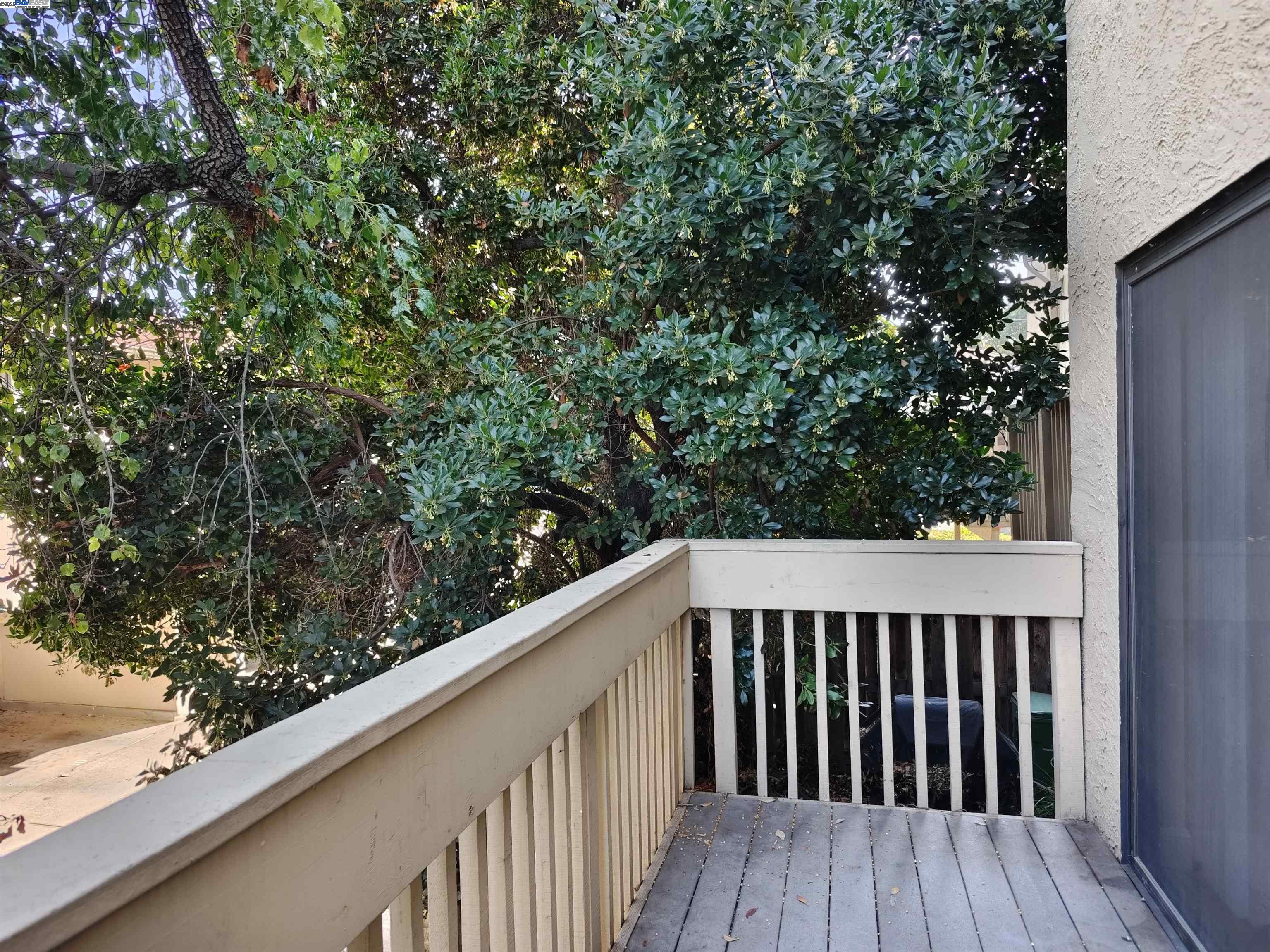 Photo #20: 41112358 Listing: Photo #20
