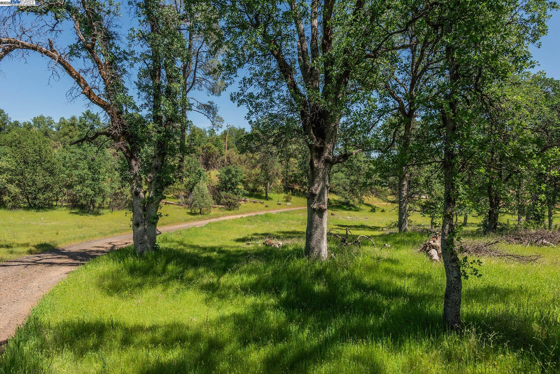 Detail Gallery Image 38 of 59 For 21679 Squaw Grass Trail, Redding,  CA 96003 - 3 Beds | 2 Baths
