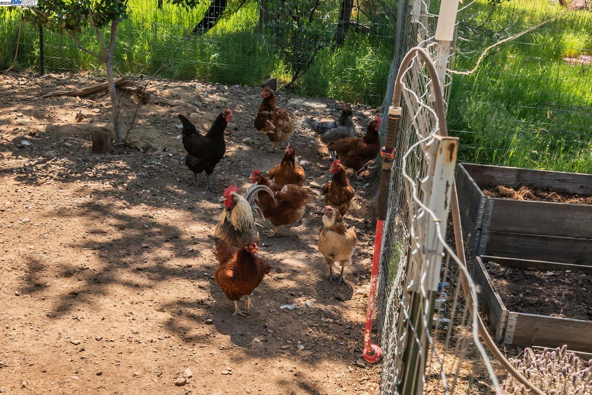 Detail Gallery Image 55 of 59 For 21679 Squaw Grass Trail, Redding,  CA 96003 - 3 Beds | 2 Baths