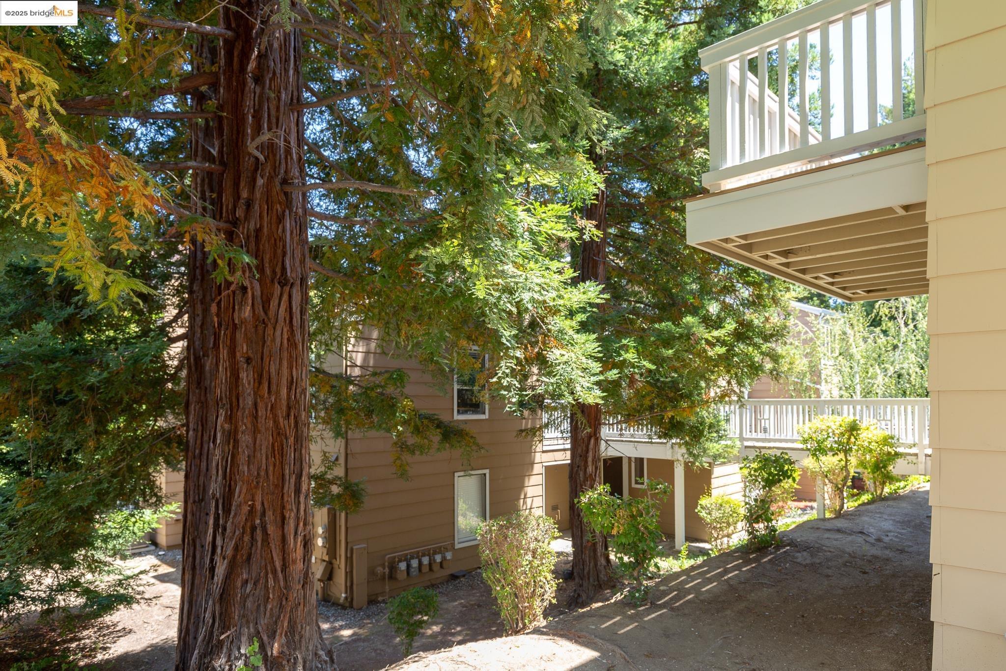Photo #13: 41112415 Listing: Photo #13