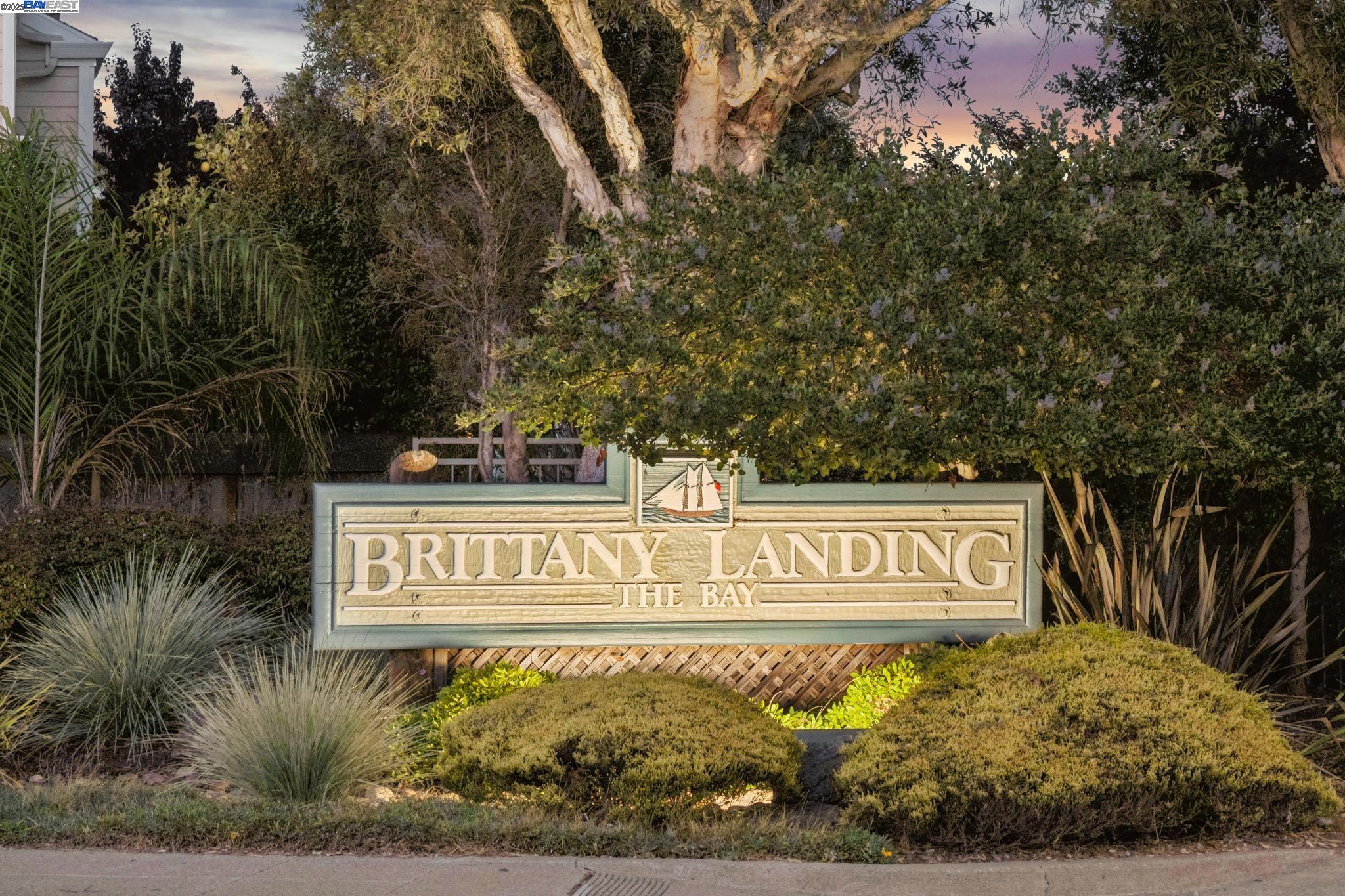 Photo #53: 41112437 Listing: Photo #53