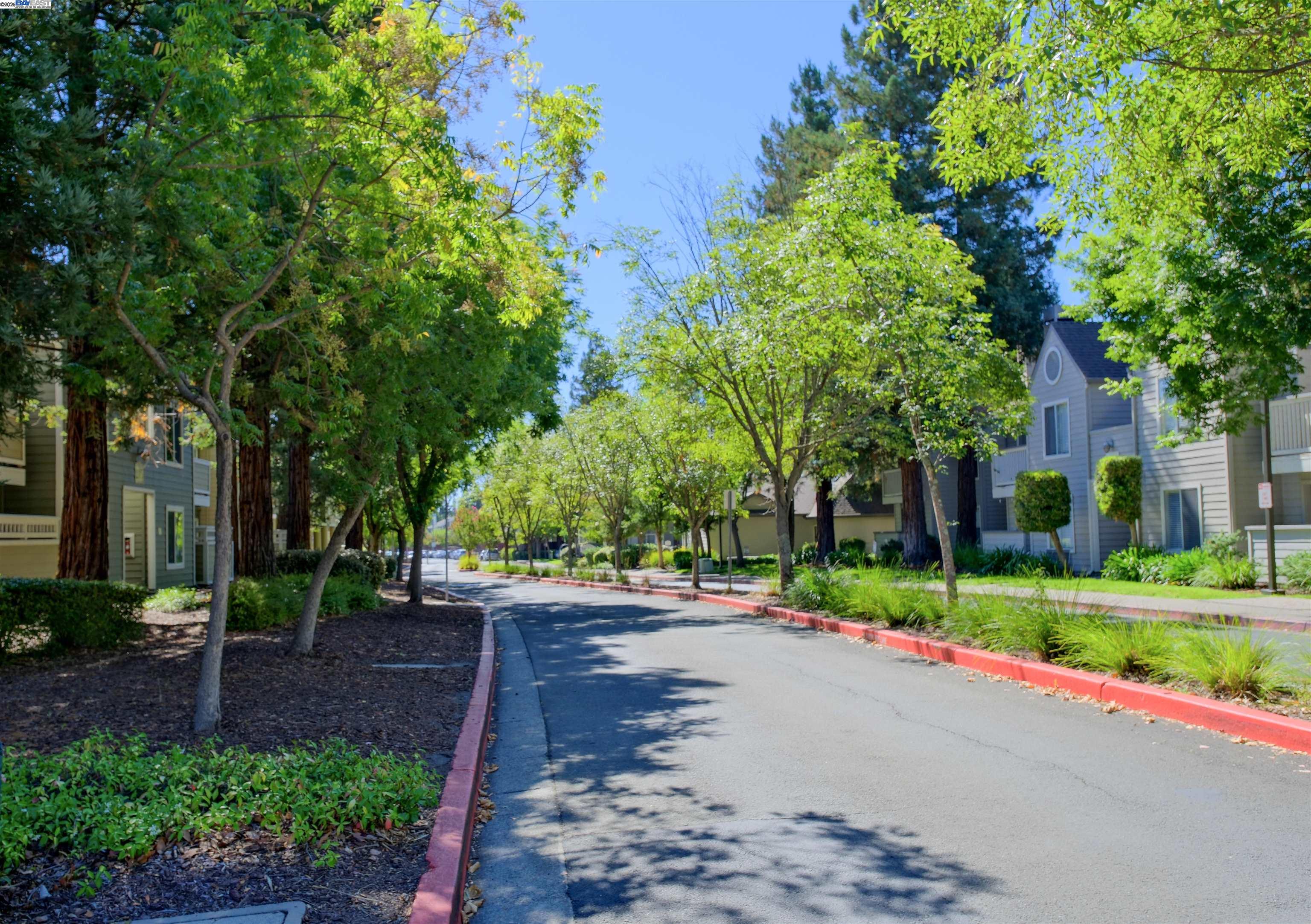 Photo #10: 41112514 Listing: Photo #10