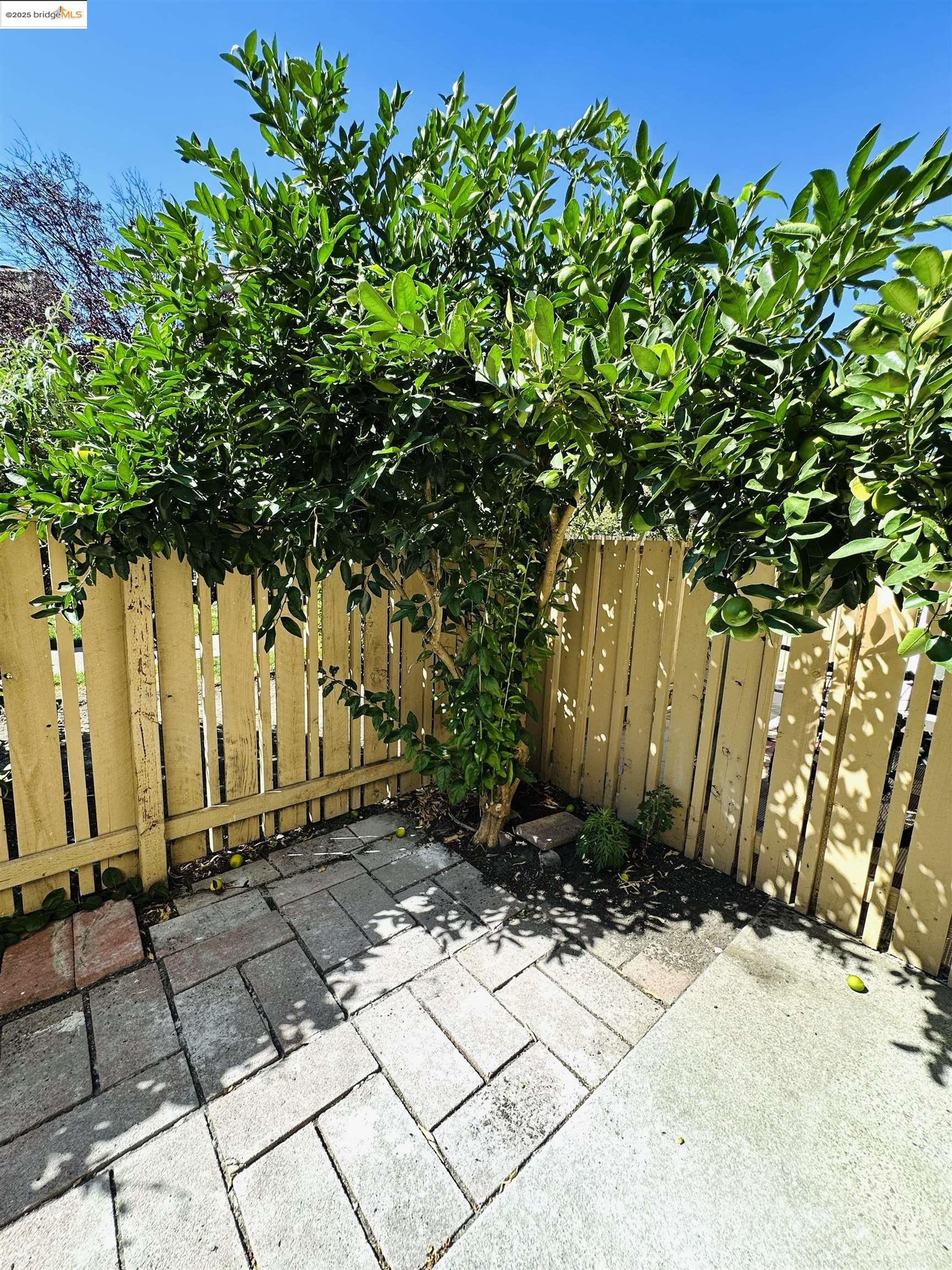 Photo #18: 41112553 Listing: Photo #18