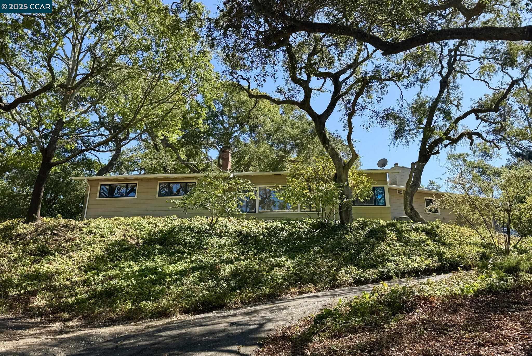 Front Image Thumbnail for CC41112558