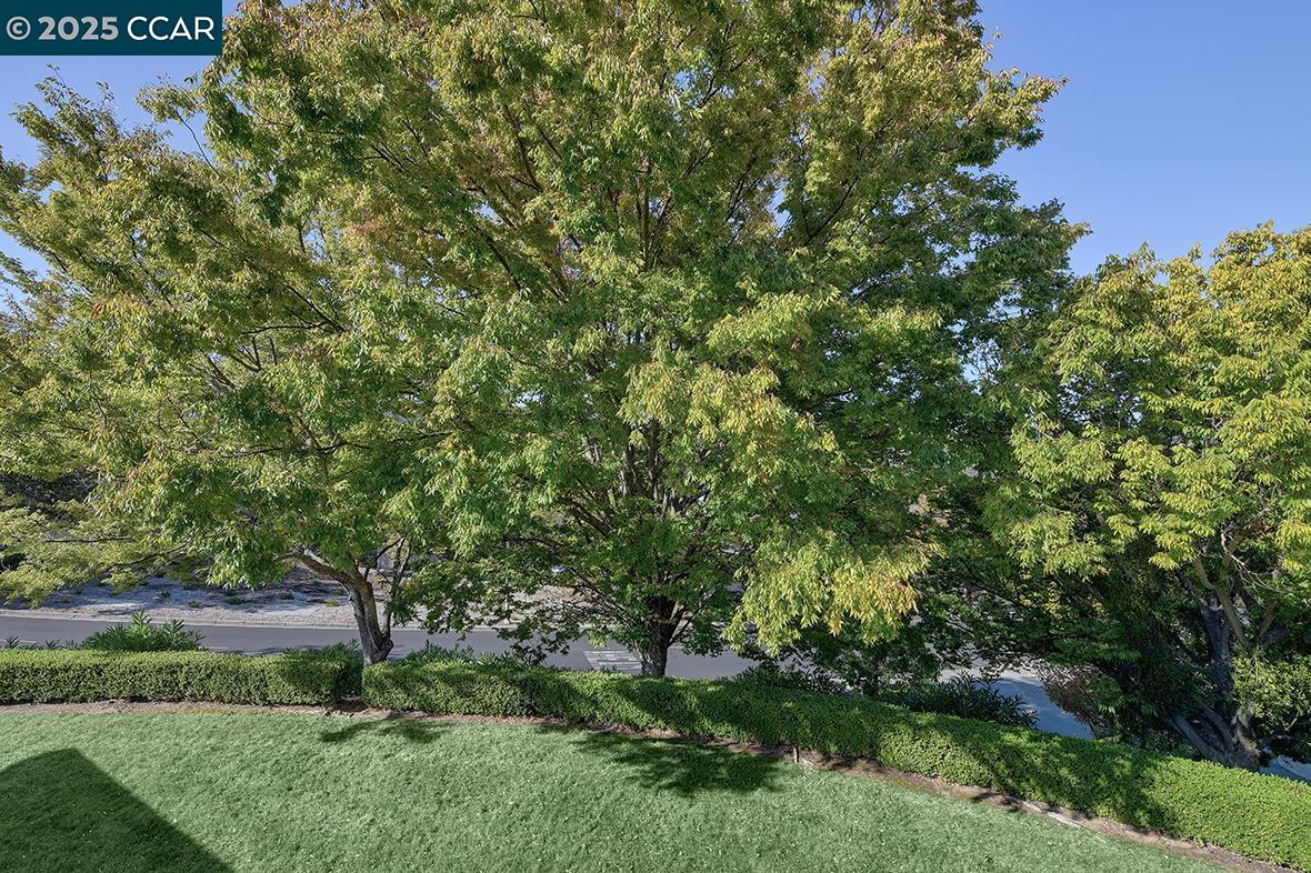 Photo #5: 41112578 Listing 