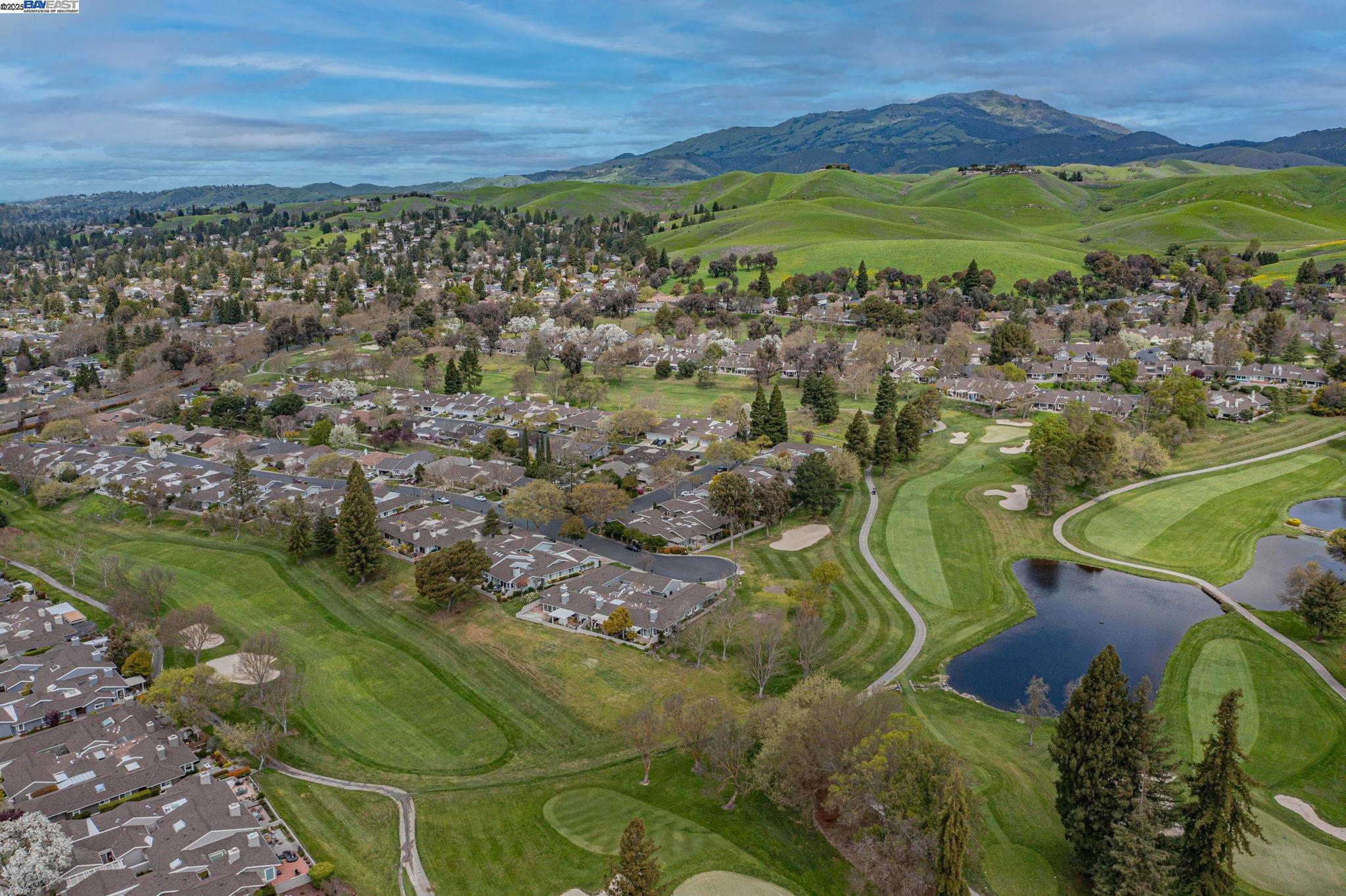 Photo #34: 41112581 Listing: Photo #34