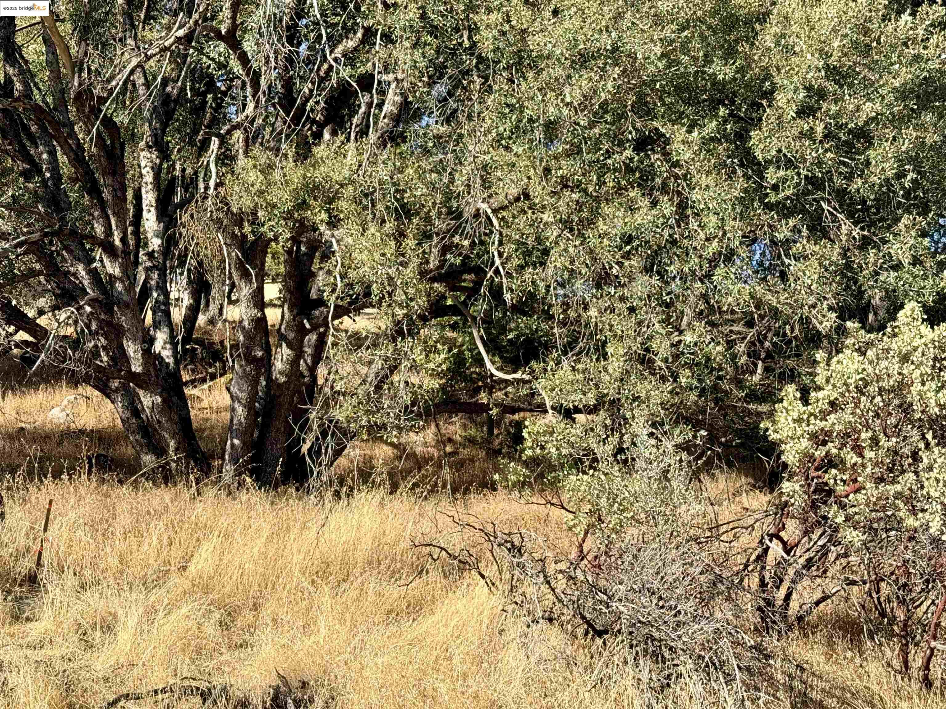 Detail Gallery Image 11 of 17 For 21858 Phoenix Lake Rd, Sonora,  CA 95370 - – Beds | – Baths