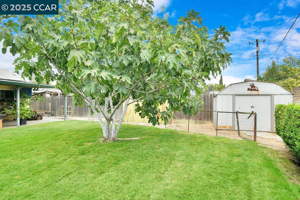 Detail Gallery Image 25 of 26 For 214 Don Carlos Avenue, Stockton,  CA 95210-1202 - 3 Beds | 1 Baths