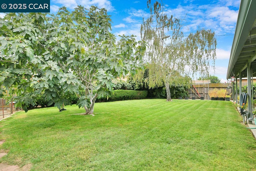 Detail Gallery Image 26 of 26 For 214 Don Carlos Avenue, Stockton,  CA 95210-1202 - 3 Beds | 1 Baths