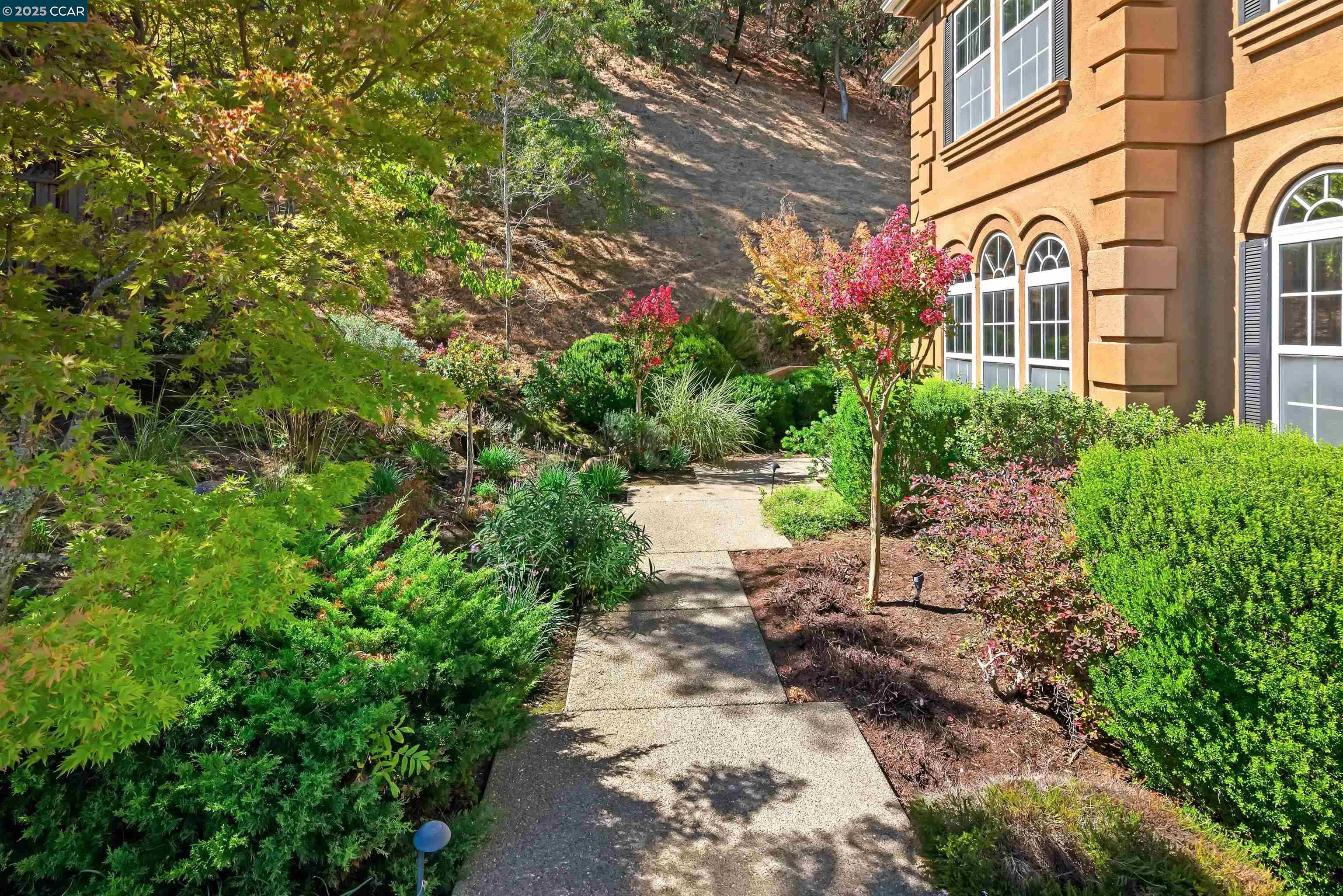 Detail Gallery Image 4 of 41 For 20 Oak Crest Ln, Alamo,  CA 94507 - 4 Beds | 3/1 Baths