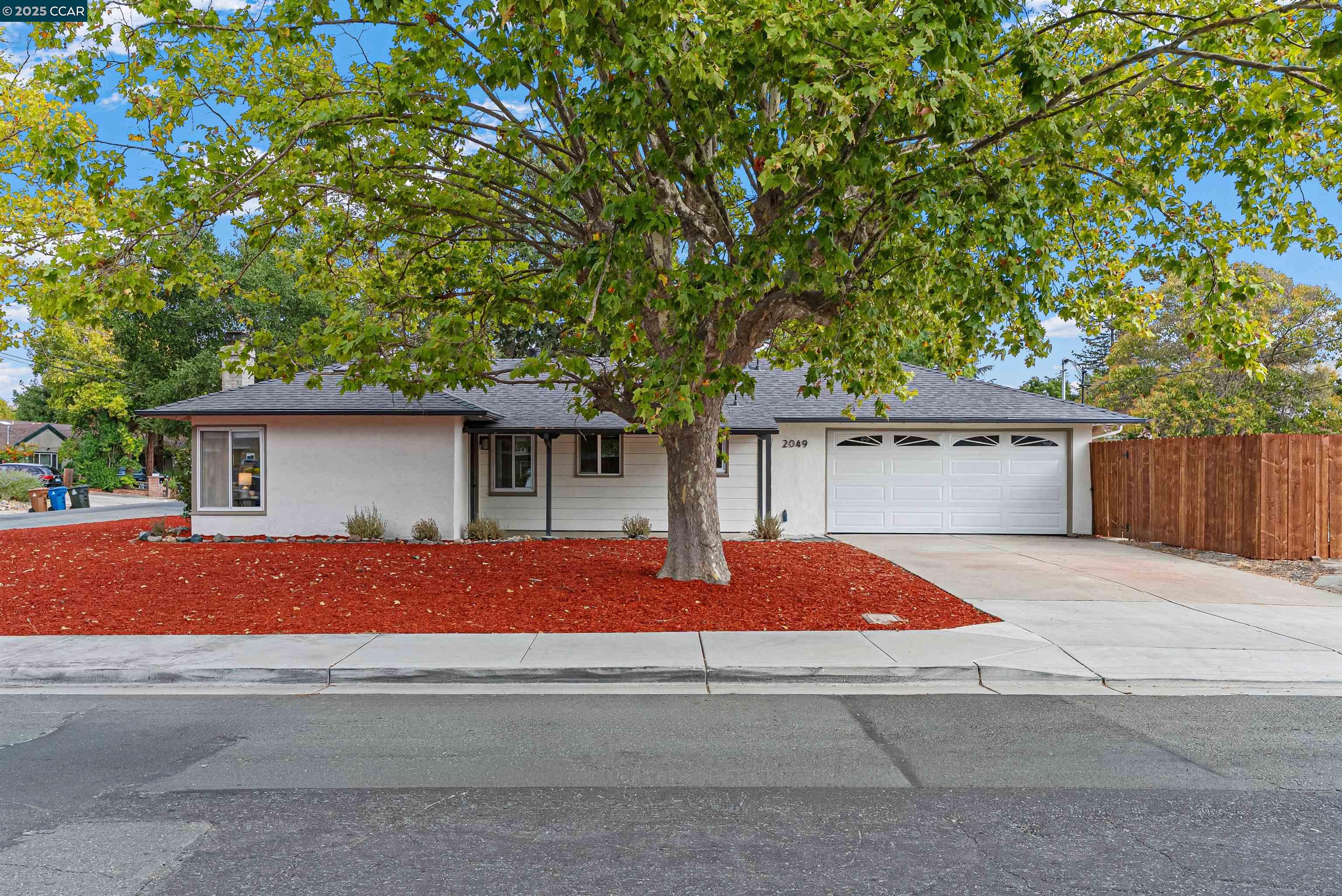 Front Image Thumbnail for CC41112624