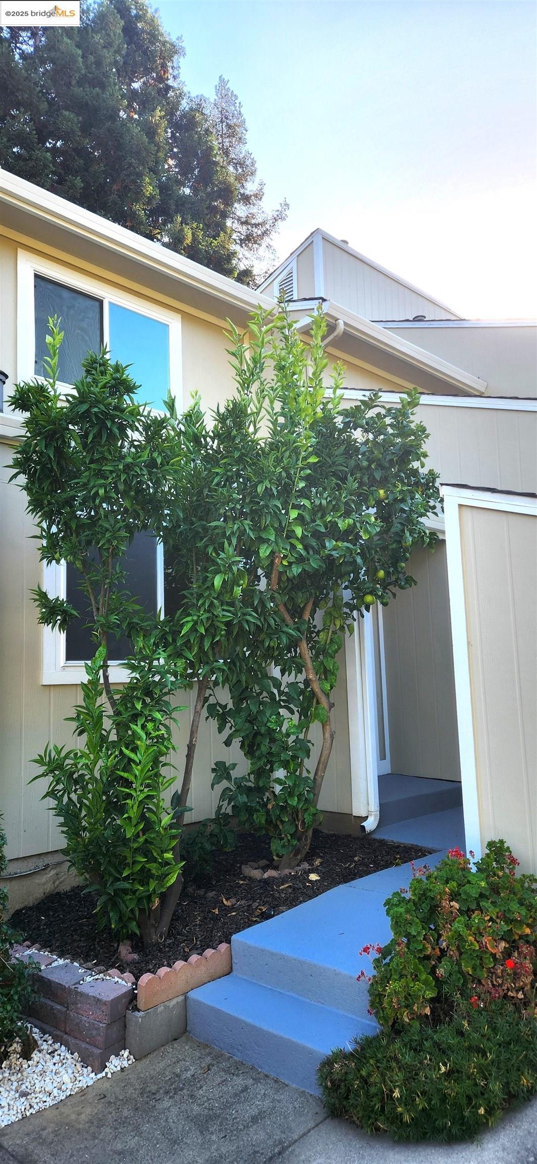 Photo #2: 41112710 Listing 